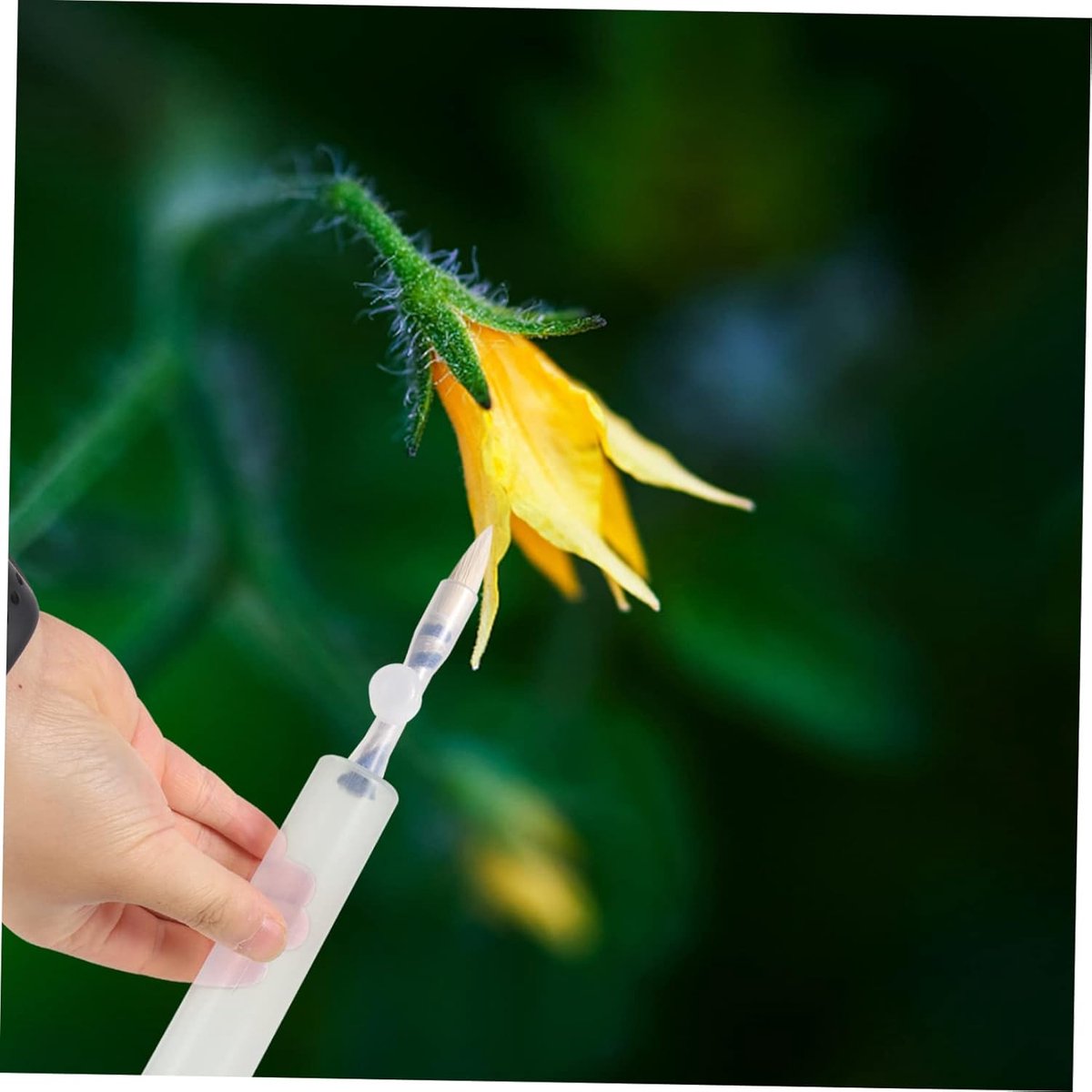 Pollination Pen - Professional Plant Pollinator Tool - Practical & Efficient - For Flower Pollination - Manual Pollinator Range - Garden - Garden Tools - For Various Plants