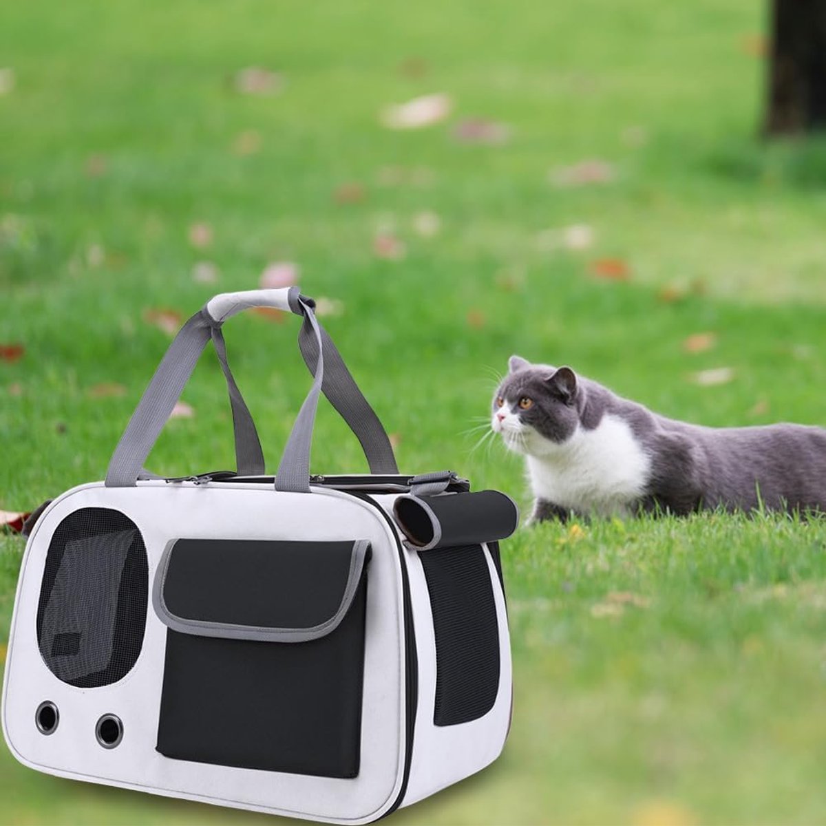 Cat and Dog Transport Bag - Travel Basket - Foldable Cat Transport Box - Cat Bag - Pet Carrier Bag with breathable holes and pockets - for medium-sized cats, small dogs - Dog Bag - 45 x 28 x 26 cm - Black