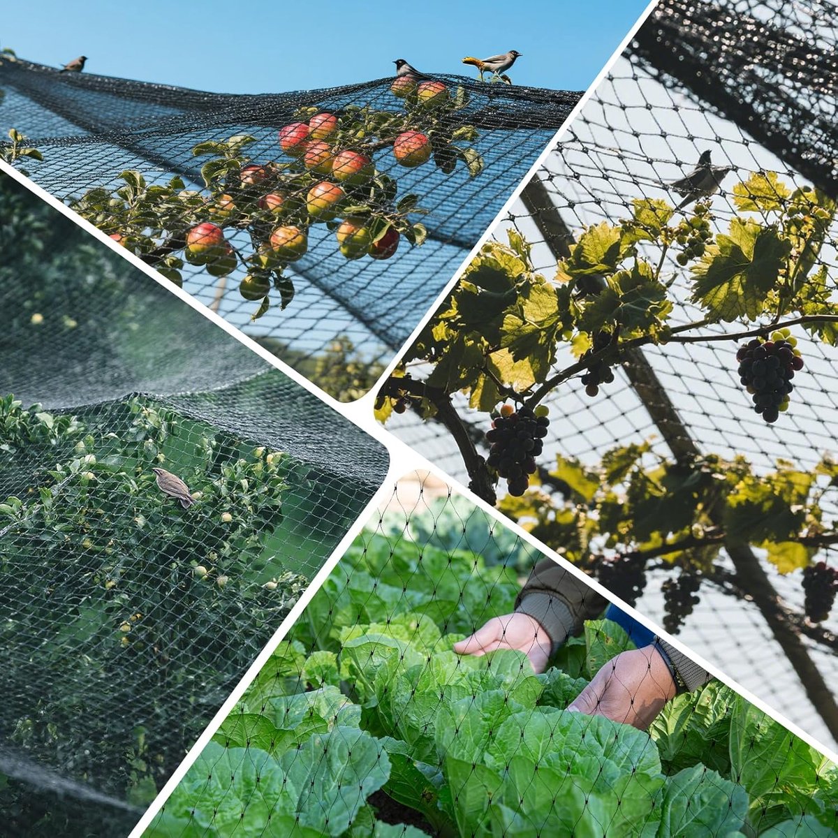 Anti-Bird Netting - bird protection netting - aviary chicken coop netting - Resistant Polyethylene - Garden Protection - for Fruit Trees, Ponds and Crops - Black - 4m x 6m