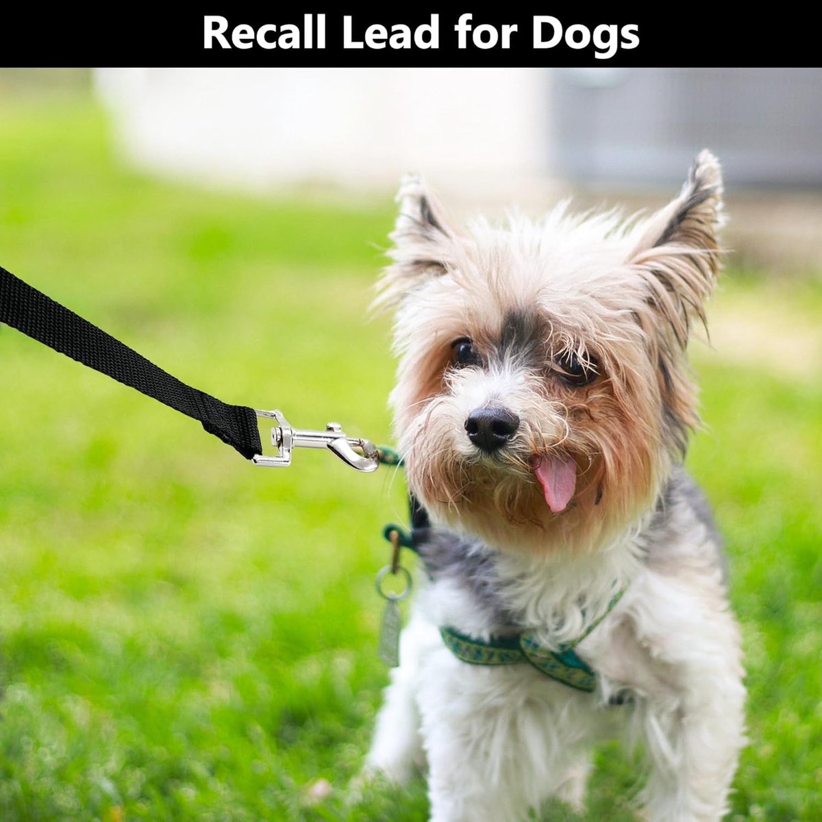 20m*2cm - Dog Leash - Dog Training Leash - Pet Leash - Waterproof - With wrist strap and 360° carabiner - long leash - leash - robust - Pet Supplies - for medium and large dogs - for obedience training - black