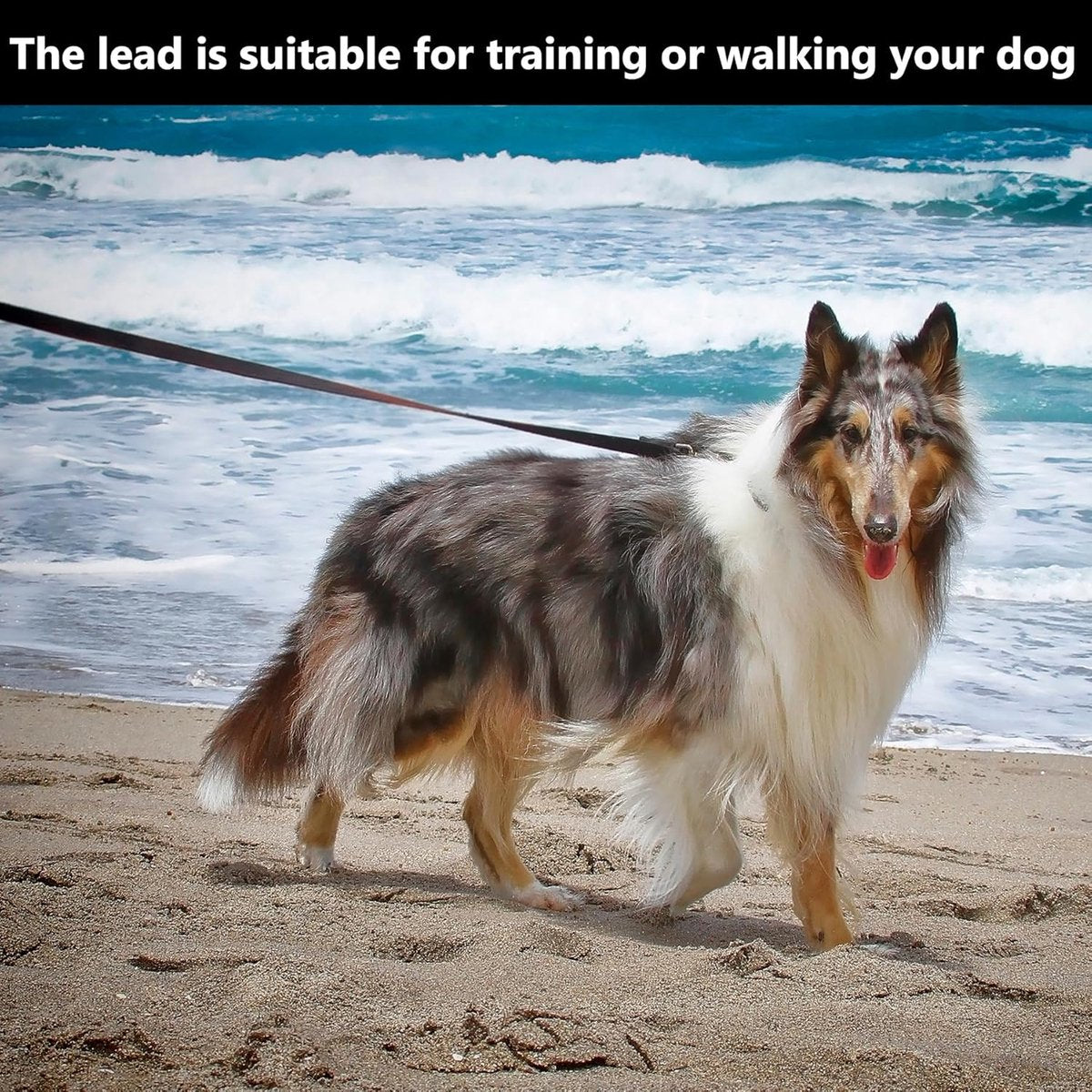 20m*2cm - Dog Leash - Dog Training Leash - Pet Leash - Waterproof - With wrist strap and 360° carabiner - long leash - leash - robust - Pet Supplies - for medium and large dogs - for obedience training - black