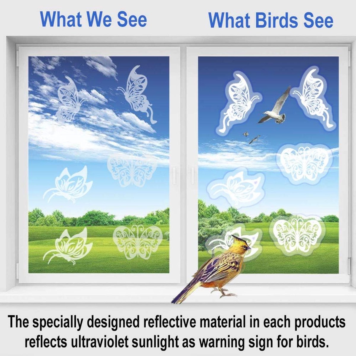 36 pieces - Anti-Collision Stickers - butterfly stickers - with anti-collision warning - transparent window stickers - prevention of collisions with people and birds - window stickers - window decoration