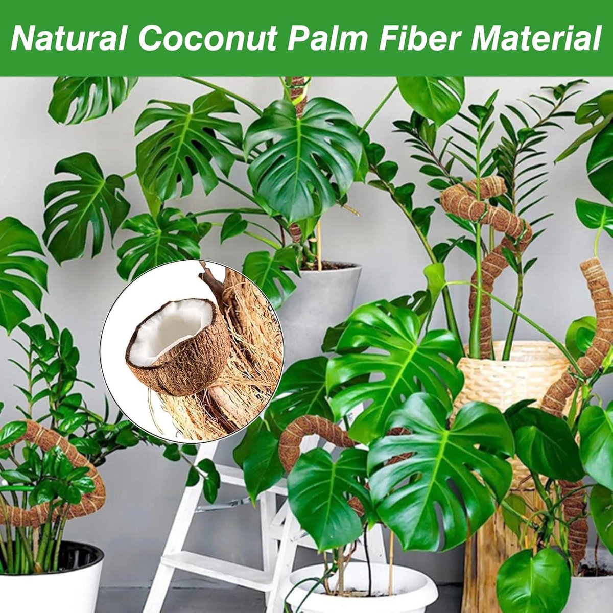 2 pieces - 60cm - Plant supports - Foldable plant support - Climbing plant stake - Monstera Stakes - Plant Stakes - for growing Monstera and other climbing plants - for supporting and guiding plant growth - brown