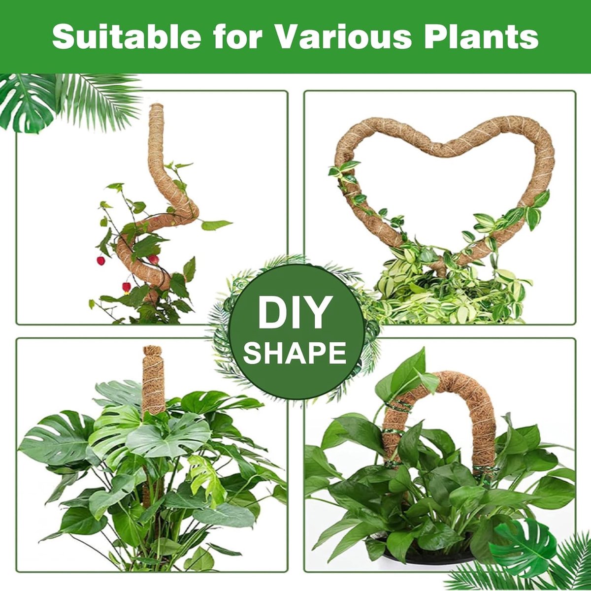 2 pieces - 60cm - Plant supports - Foldable plant support - Climbing plant stake - Monstera Stakes - Plant Stakes - for growing Monstera and other climbing plants - for supporting and guiding plant growth - brown
