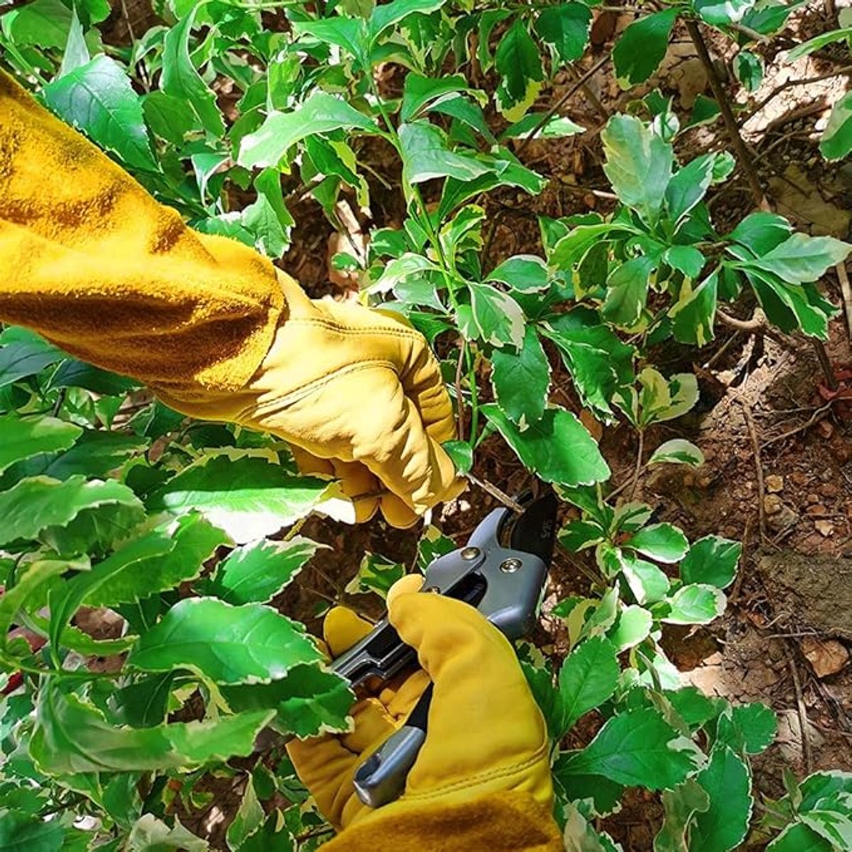 Gardening Gloves - 1 pair - Women/Men - Thorn-Resistant Cowhide Leather rose/blackberry pruning - thorn- and cut-resistant gardening gloves with long leather - Long Forearm Protection - Glove - heavy duty glove - Yellow