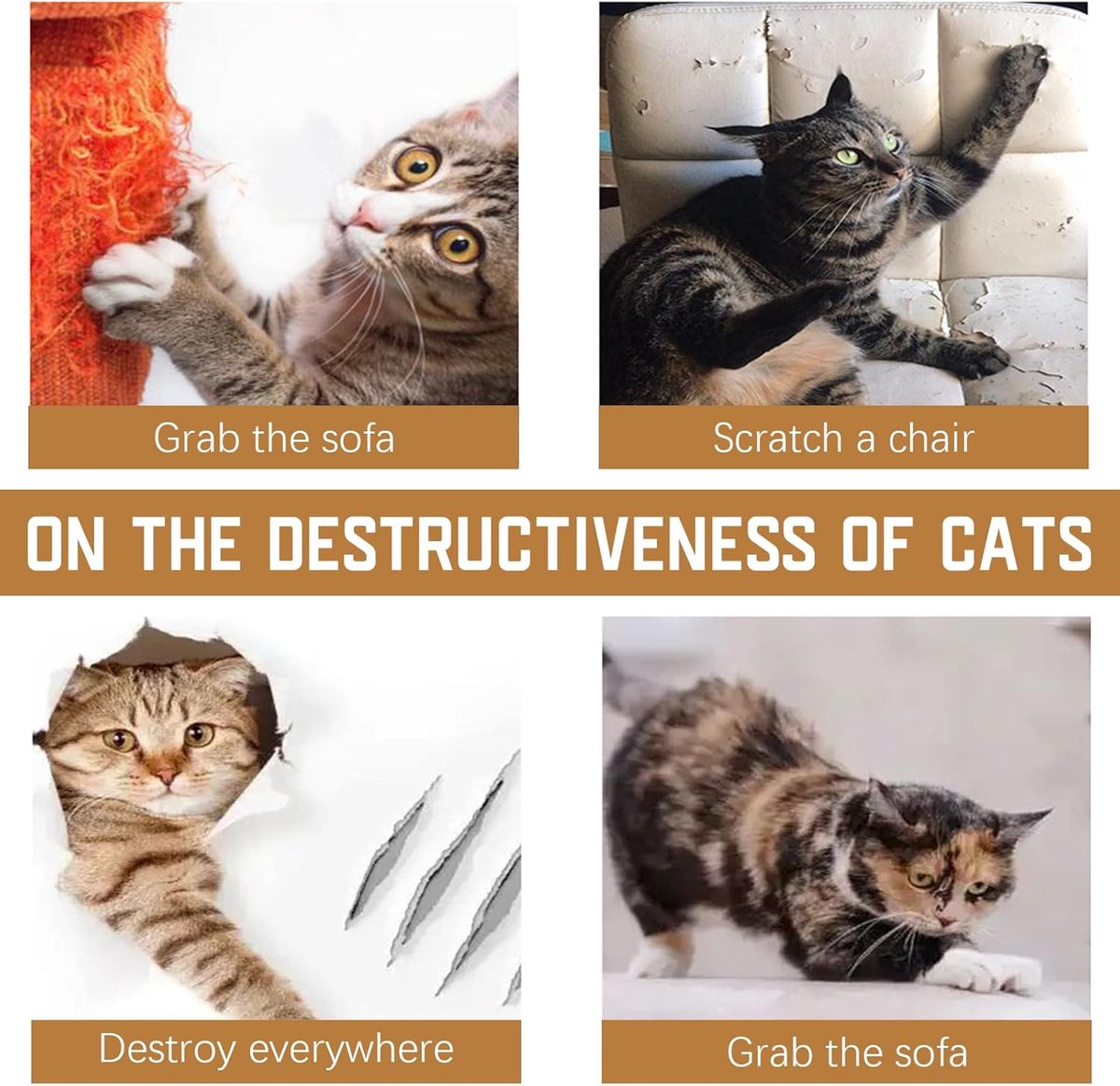 Anti-Scratch Sheets for Cat and Dog - 6 Piece Sticker Scratch Protectors - 45 x 30cm - Cat Scratch Protector - Anti Scratch - Cat Sofa Protector - Scratch Protectors for Furniture Sofa Table Door - Scratching Post - Transparent