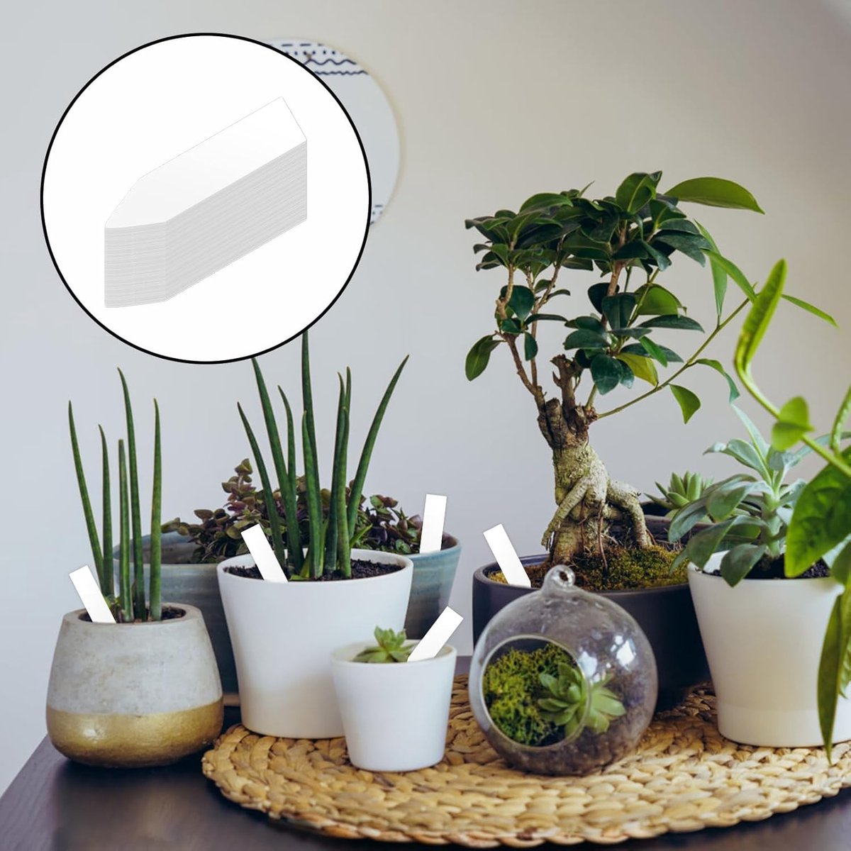 200 Plant Labels - 5x1 CM - Plant Labels - Plant Sticks - Plant Labeling - Herb Labeling - Stick Labels Vegetable Garden Signs - Slotted Labels Plant Label - Plant Signs - Plastic - White - For Garden Potted Herbs Flowers Vegetables