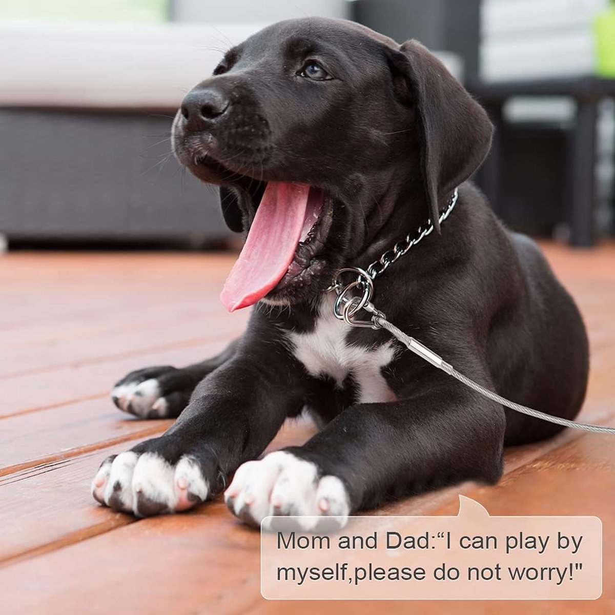 Dog leash cable - 5mm * 3m - stainless steel - silver - dog chains - with double fastening stainless steel buckle - camping accessories - dog game ground stake - heavy-duty dog chain - exhaust leash for animals
