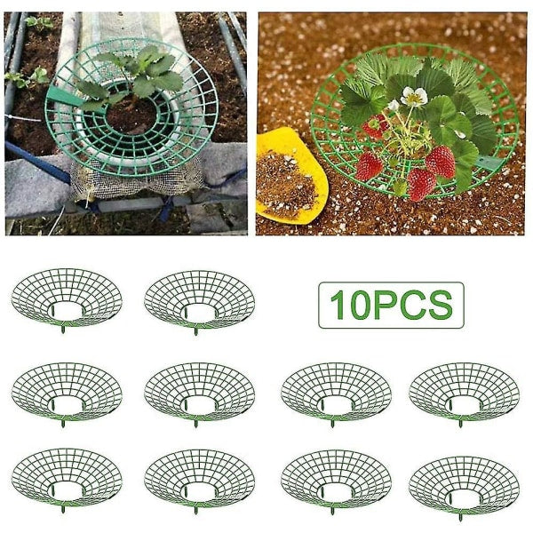 Strawberry Plant Support Cages, 10 pcs Climbing Rack Frame Holder for Balcony Garden Planting, Fruit Support
