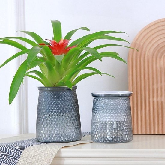Flower pots - Plastic flower pots - sustainable garden supplies - hydroponic flower pots - visible water level - With absorbent cotton rope - Ø 10 x H 12 cm - Gray
