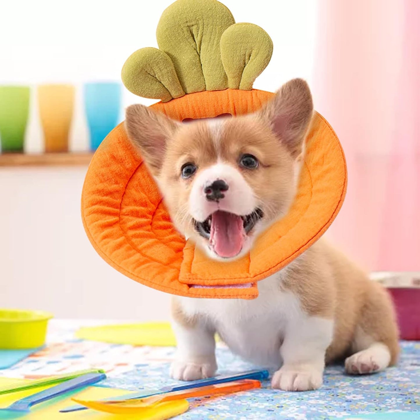 Pet Cone Collar - Soft - Prevents Licking and Biting - Carrot - Small - 1st