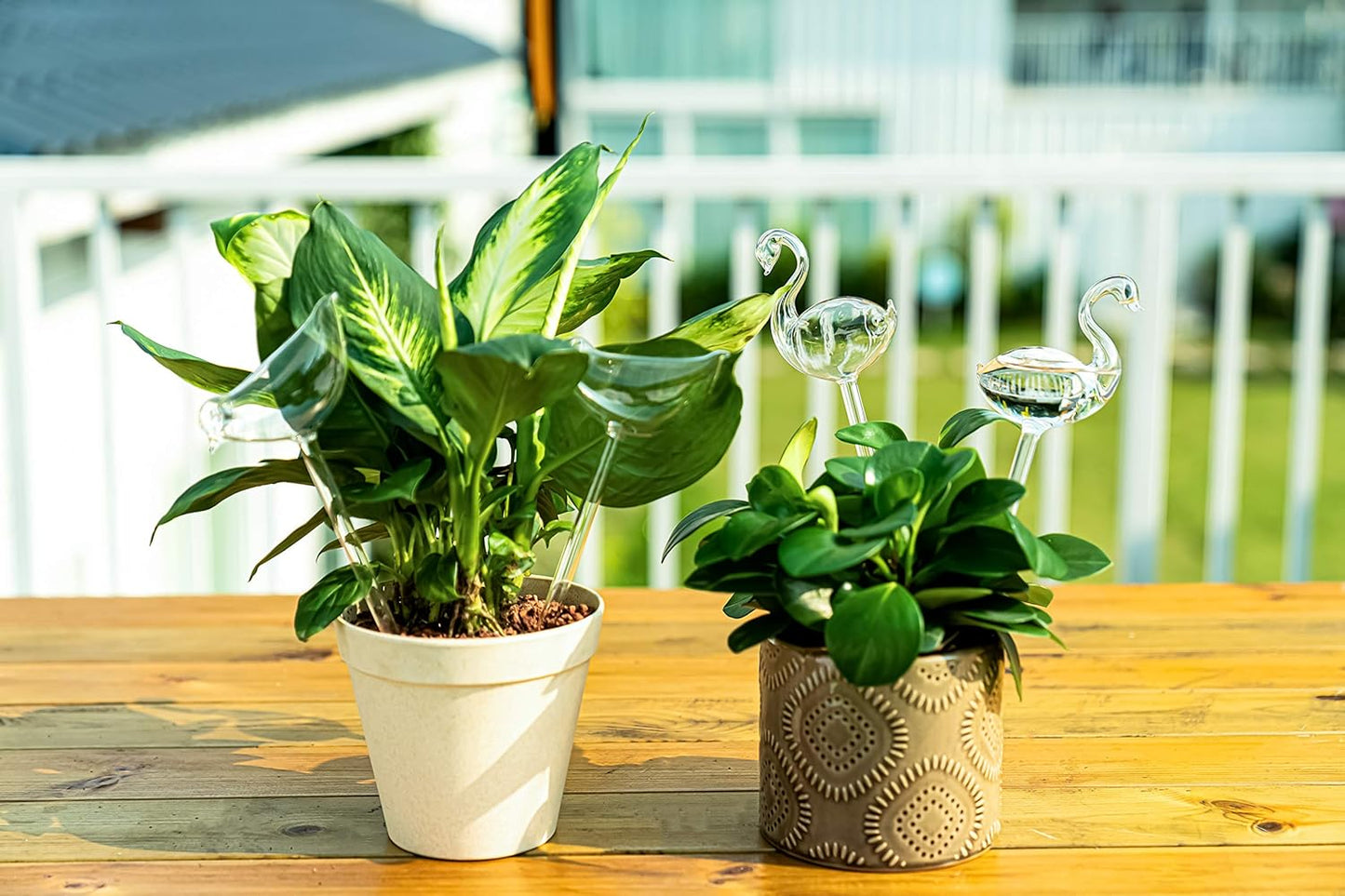 Self-watering globes, bird-shaped plant watering device, hand-blown, clear glass globe for indoor and outdoor plants, pack of 2