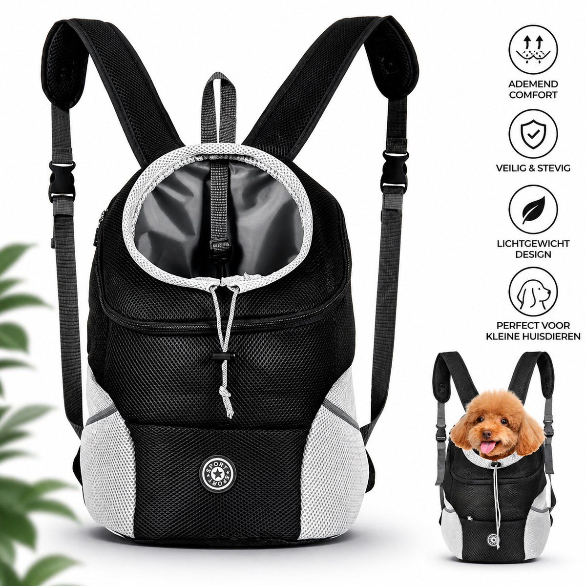 Pet Carrier Backpack with Breathable Mesh Panels, Safety Strap and Adjustable Shoulder Straps for Small Dogs and Cats, Black, Size L