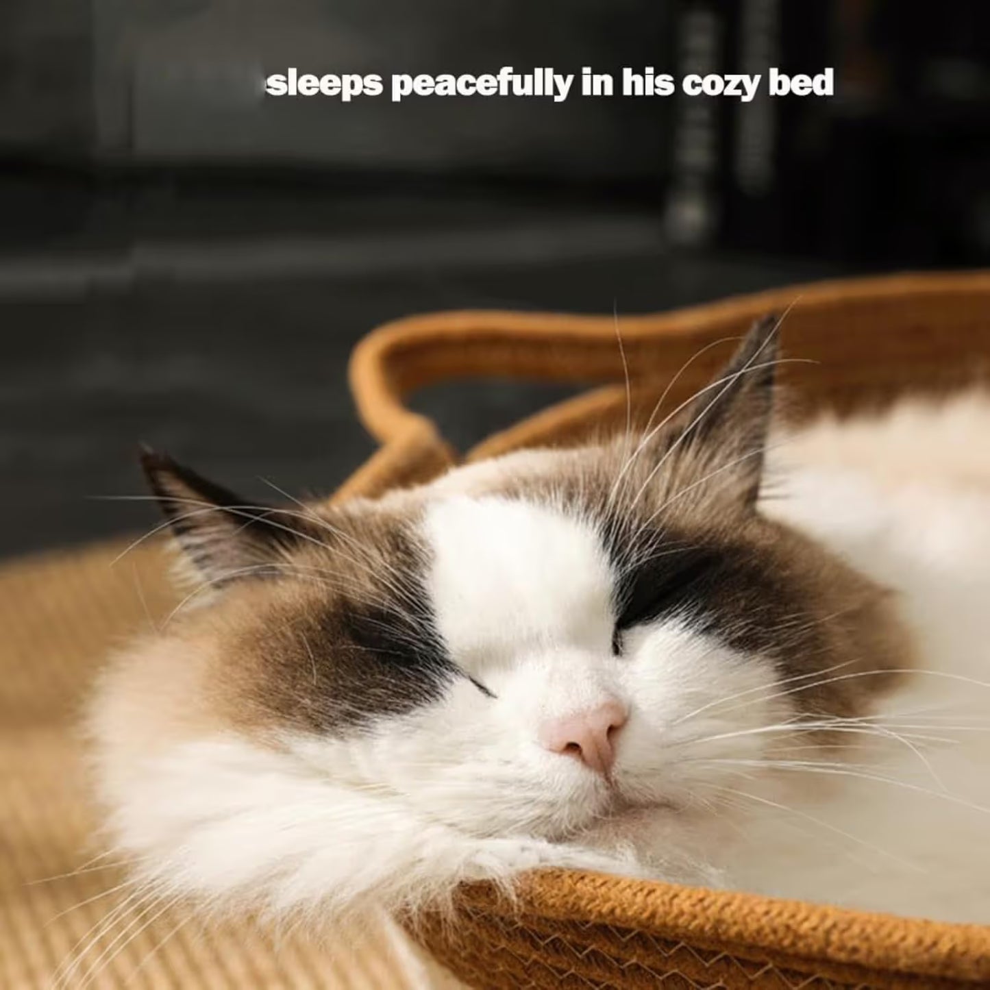 Cat Bed Rope Cotton, Cotton Rope Woven Round Cat Beds Basket with Built-in Teasing Ball, Handwoven Foldable Scratchable for Small & Large pet Brown（S）