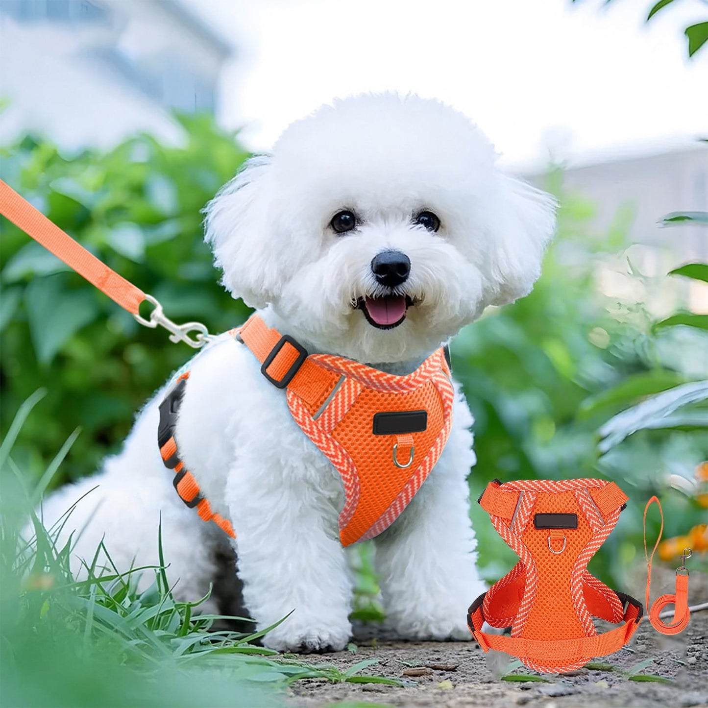 Tyidzon Small Dog Harness with Pet Lead, Puppy Harness Reflective Step-in Puppy Pet Harnesses for Small Medium Dogs and Cats Orange