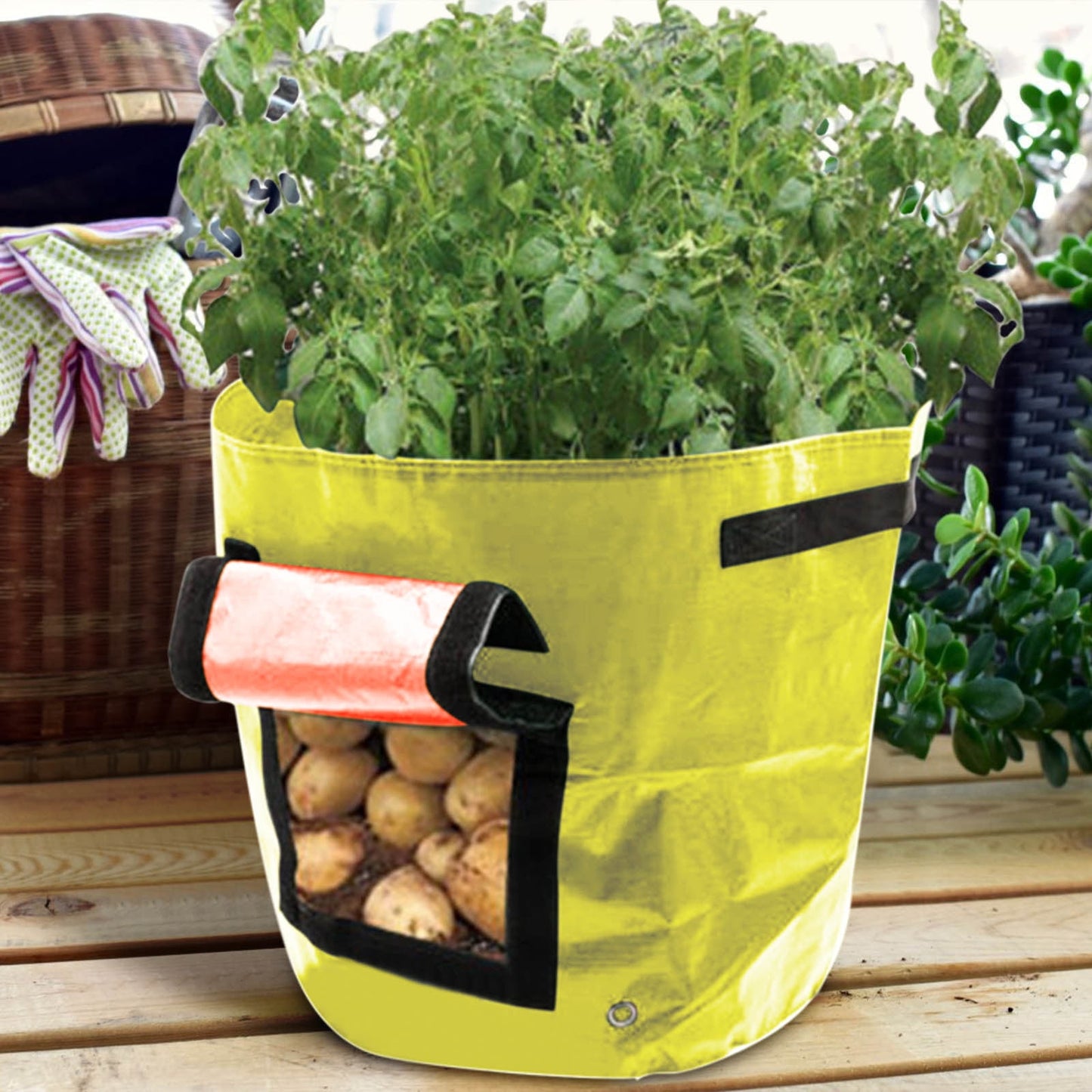 Suncoda Summer Savings 34x35cm Potato Grow Bag with Side Window & Handles 12" x 14" Yellow#2