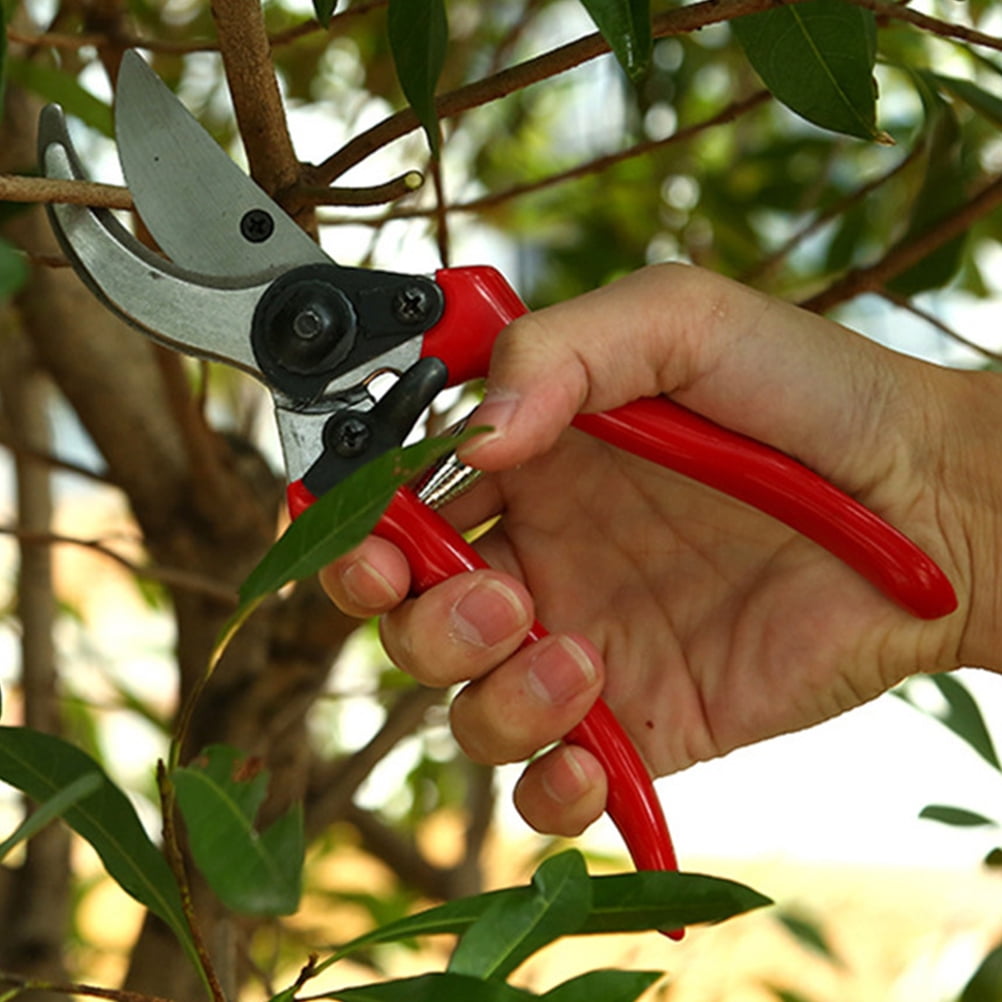 Masteelf 1 Set Red Grafting Pruner for Gardening 11.8*1.6in