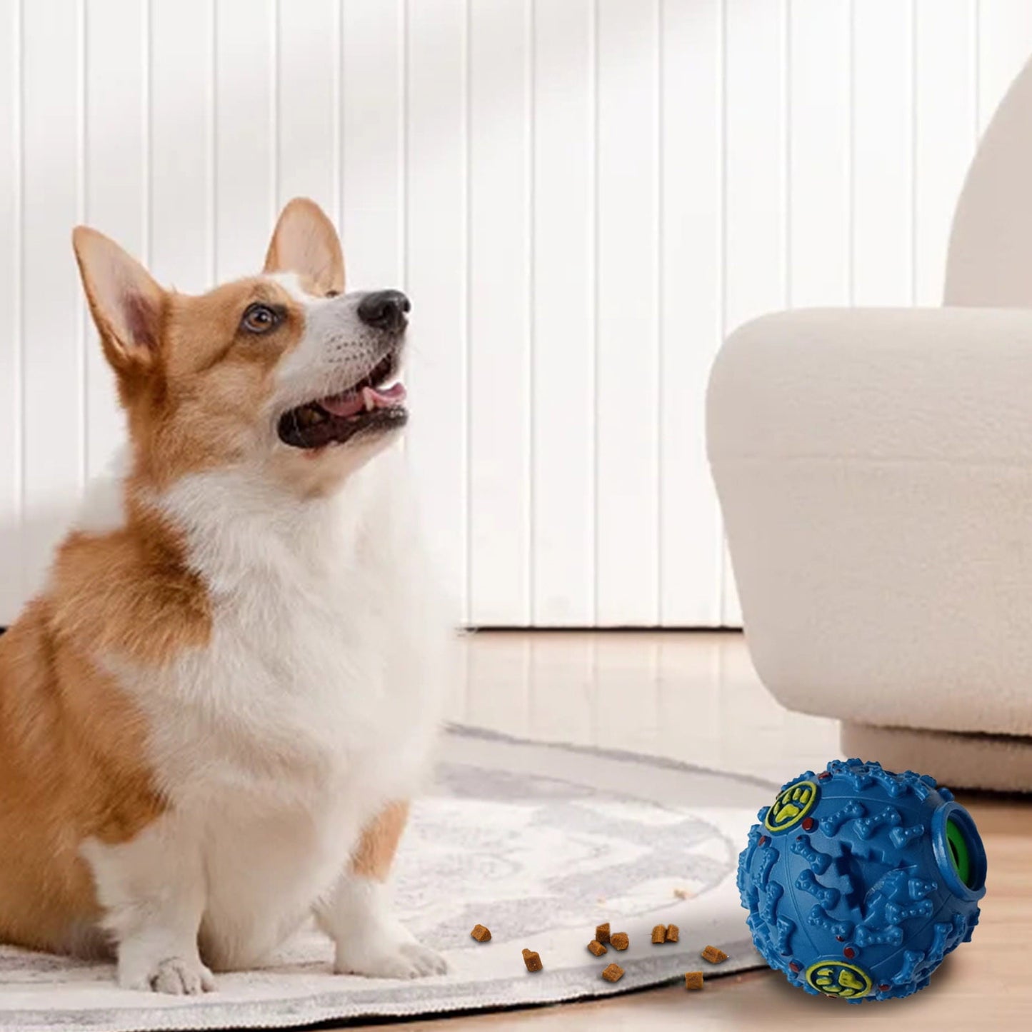 Pawcia Giggle Sound Ball, Pawcia Giggle Sound Dog Ball, Pawcia Ball, Pawcia Dog Ball, Pawcia Giggle Dog Ball, Pawcia Giggle Sound Dog Ball B