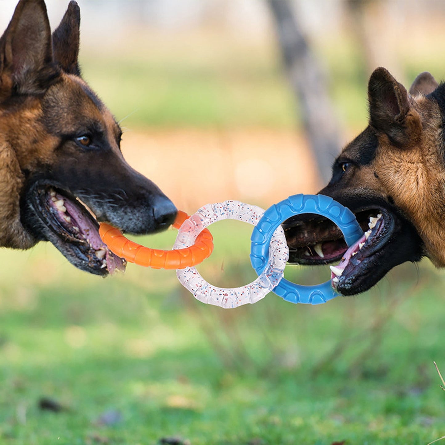 3-Ring Tug Dog Toy, Interactive Tug Pull Toy for Training and Teeth Cleaning, Indestructible Rubber of War Dog Chew Toy for Aggressive Chewers, Outdoor Puppy Ring Toy for Small Medium Large Dogs Orange-blue and purple-yellow