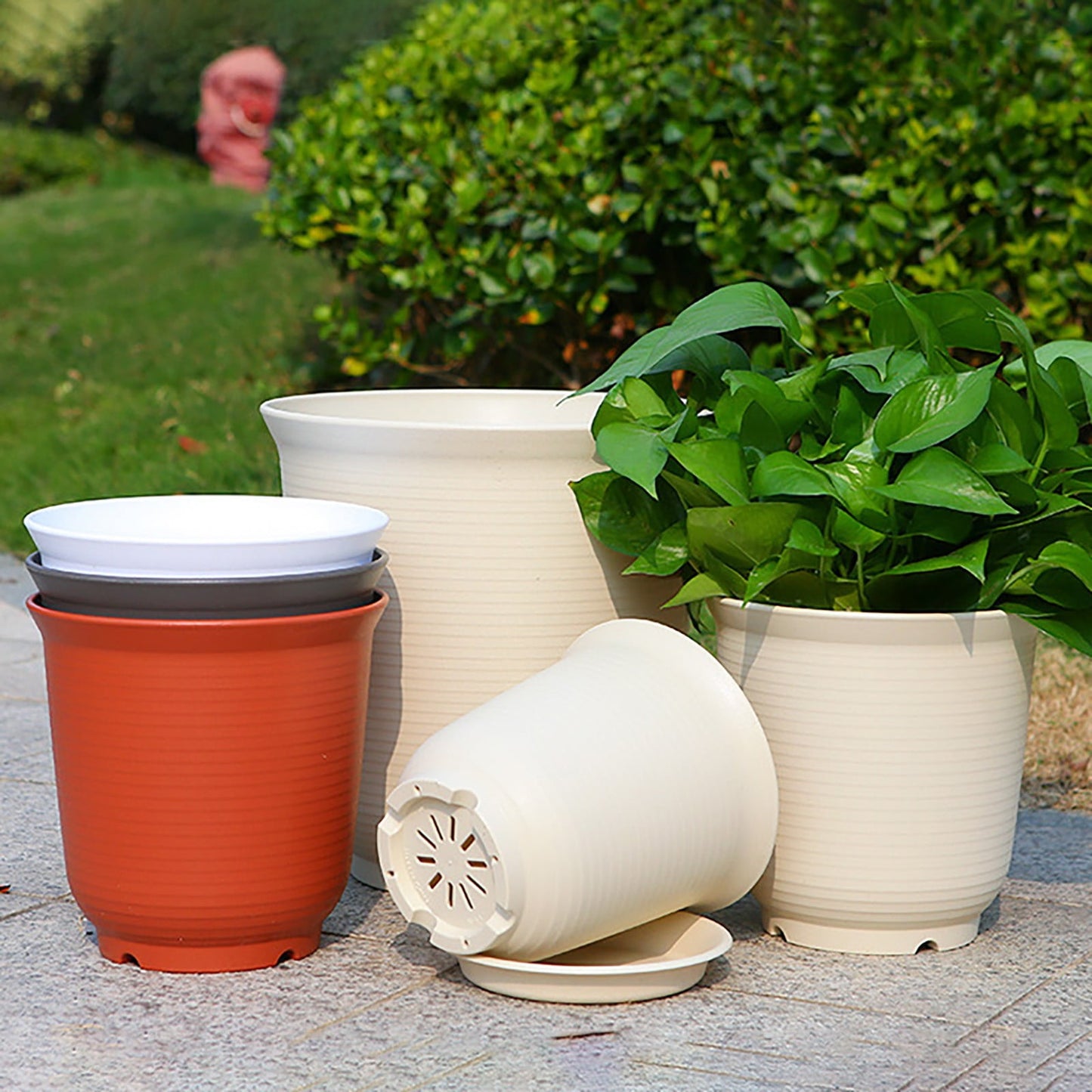 6 Inch Planter Nursery Pots, Plastic Planters Pots for Plants Flower Transplanting with Drainage Holes and Saucers, Beige, 6.06x4.25 8.34" x 5.11" Red