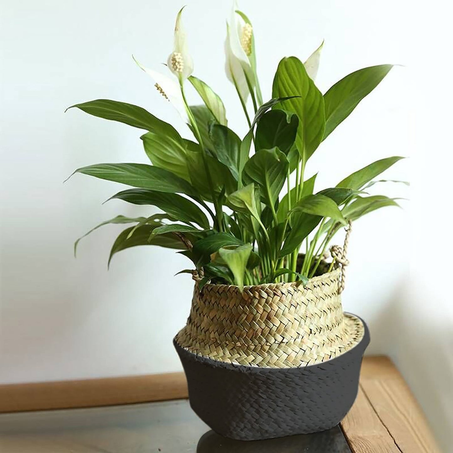 Seagrass Wicker Basket Flower Pot Folding Basket,3 Size Seagrass Handmade Decorative and Functional Storage Basket,Wicker Picnic Basket with Double Handles,Basket for Storage,10.2x12.6 7.9x8.7"