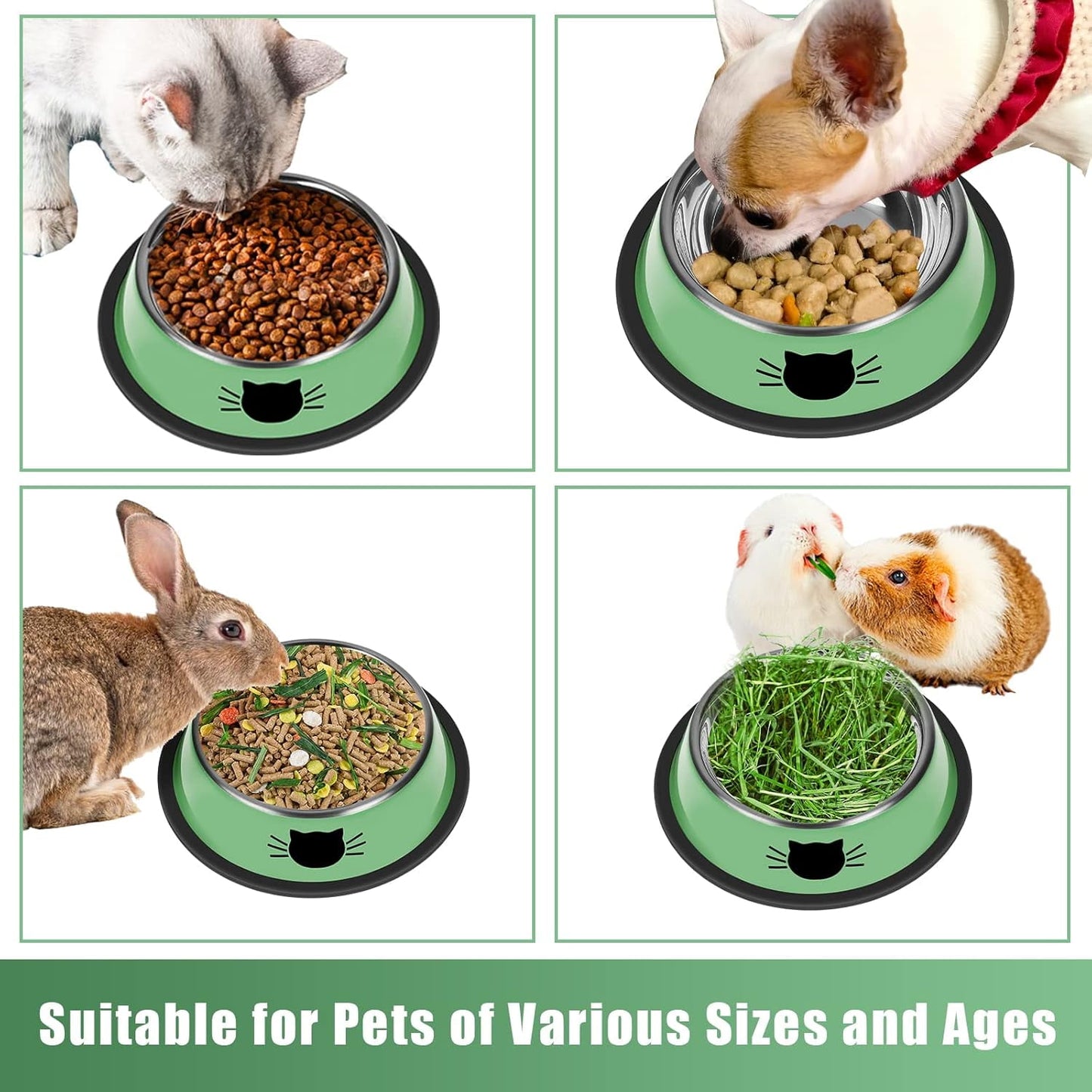 2/3Pcs Cat Bowls Non-Slip Stainless Steel Small Cat Food Bowls Unbreakable Thicken Cat Feeder 7 Oz Cat Dishes Suitable for Indoor Small Pets Removable Rubber Base Easily Clean Lovely Color Green