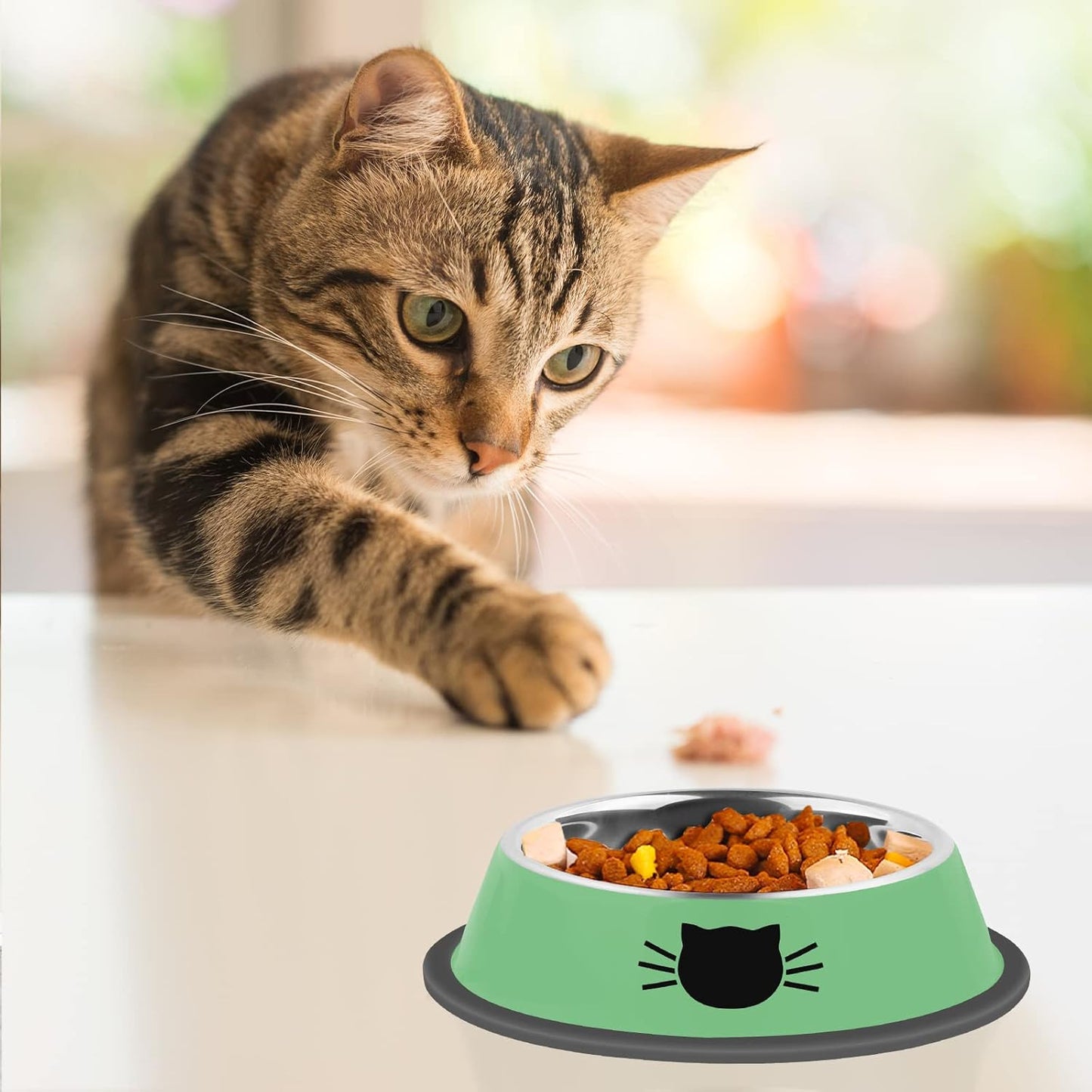 2/3Pcs Cat Bowls Non-Slip Stainless Steel Small Cat Food Bowls Unbreakable Thicken Cat Feeder 7 Oz Cat Dishes Suitable for Indoor Small Pets Removable Rubber Base Easily Clean Lovely Color Green
