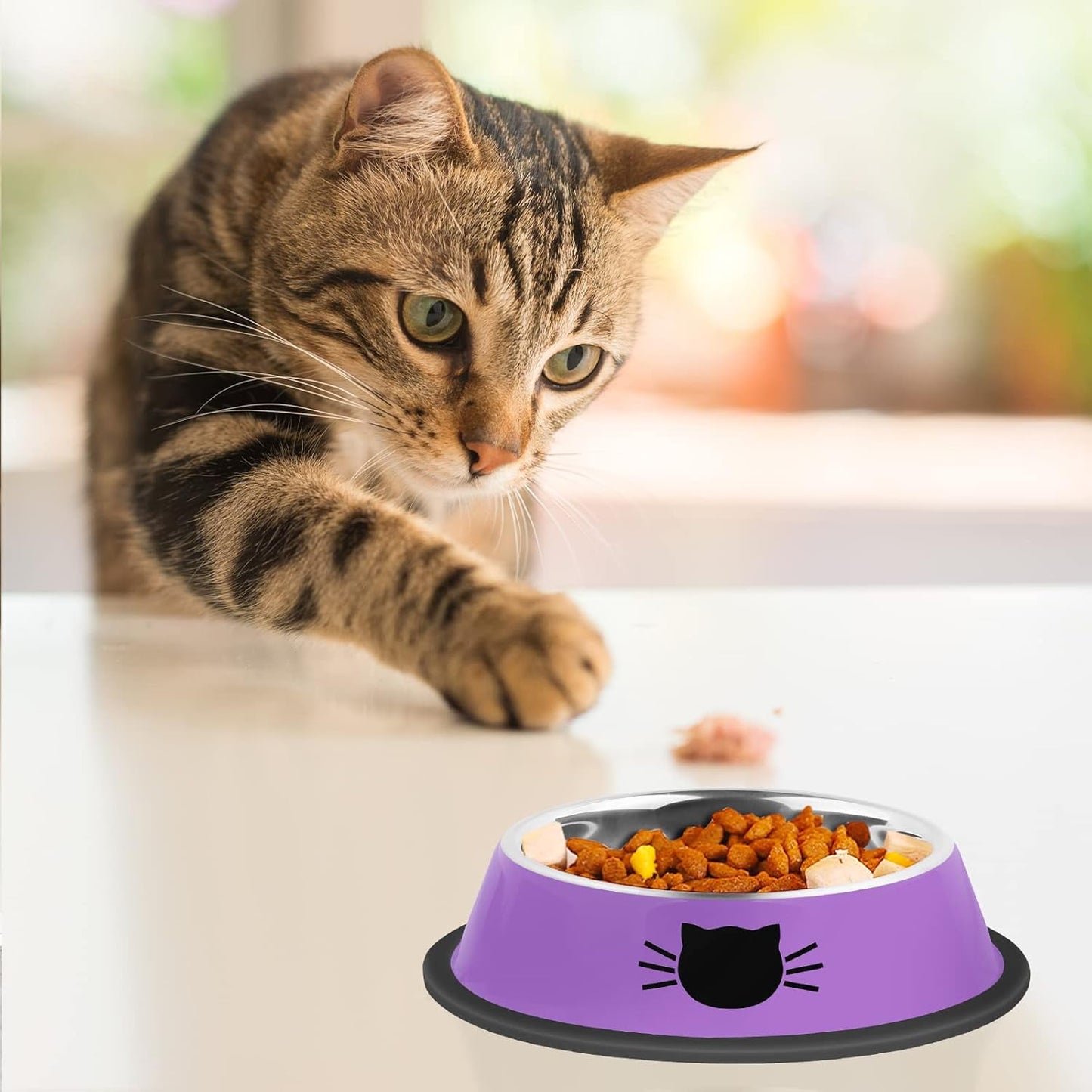 2/3Pcs Cat Bowls Non-Slip Stainless Steel Small Cat Food Bowls Unbreakable Thicken Cat Feeder 7 Oz Cat Dishes Suitable for Indoor Small Pets Removable Rubber Base Easily Clean Lovely Color Purple
