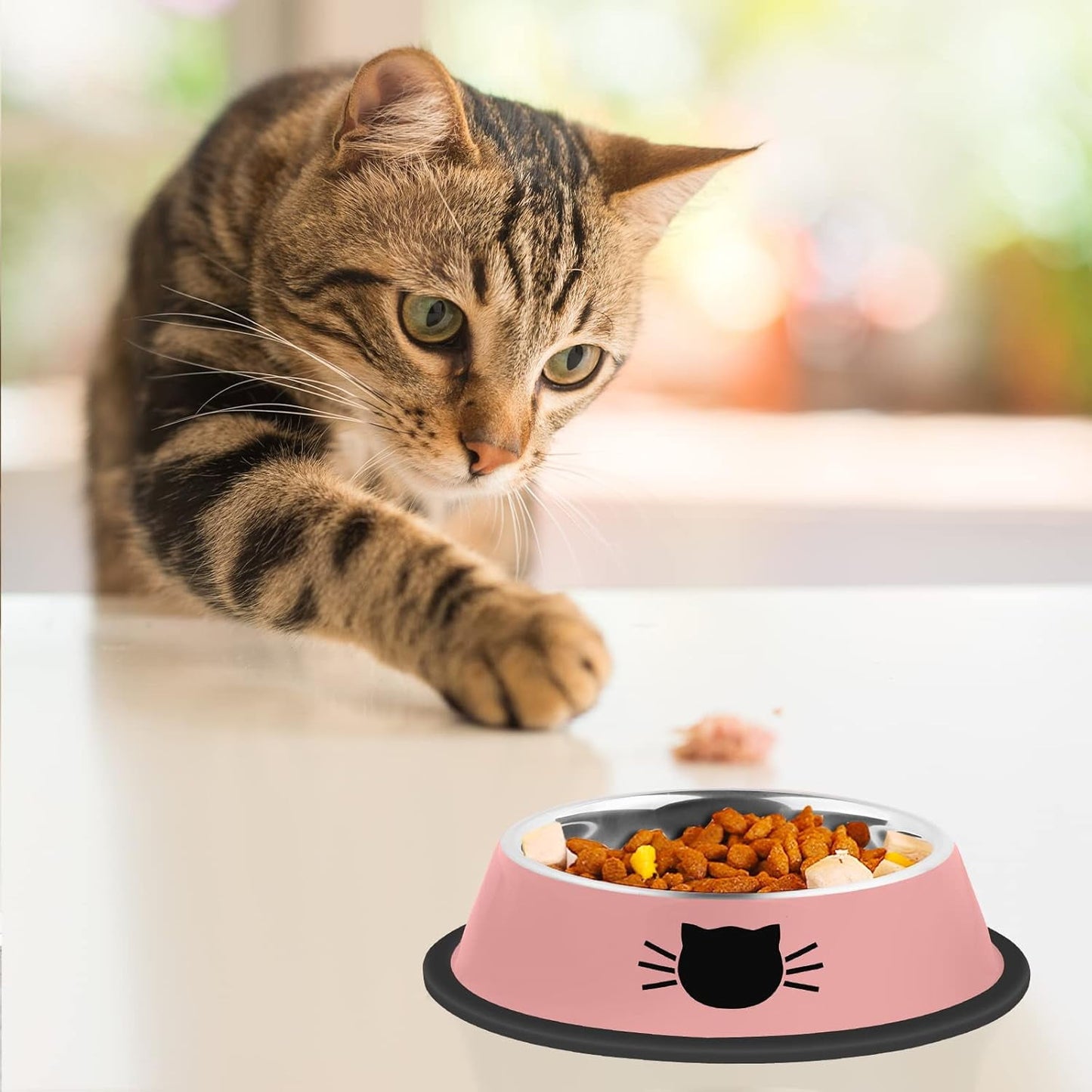 2/3Pcs Cat Bowls Non-Slip Stainless Steel Small Cat Food Bowls Unbreakable Thicken Cat Feeder 7 Oz Cat Dishes Suitable for Indoor Small Pets Removable Rubber Base Easily Clean Lovely Color Purple, Green, Pink