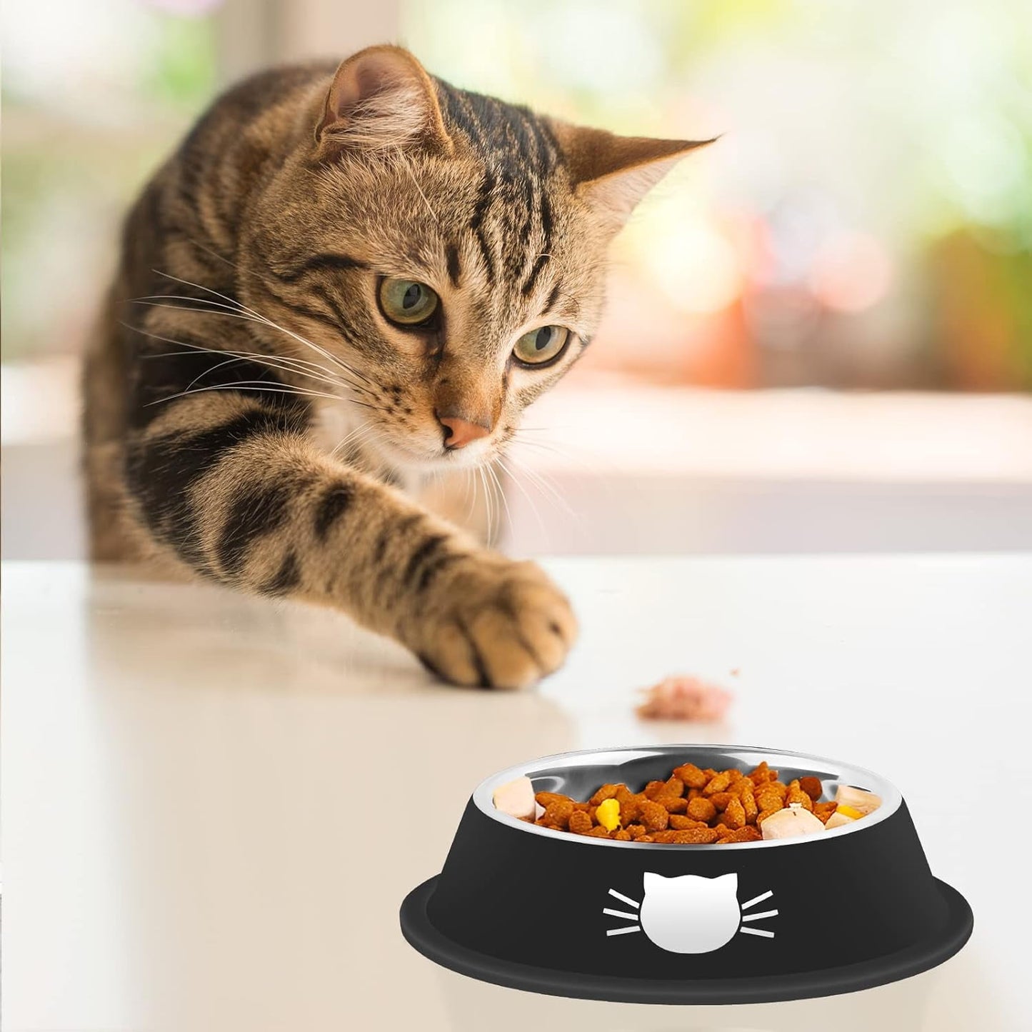2/3Pcs Cat Bowls Non-Slip Stainless Steel Small Cat Food Bowls Unbreakable Thicken Cat Feeder 7 Oz Cat Dishes Suitable for Indoor Small Pets Removable Rubber Base Easily Clean Lovely Color Silver, Black