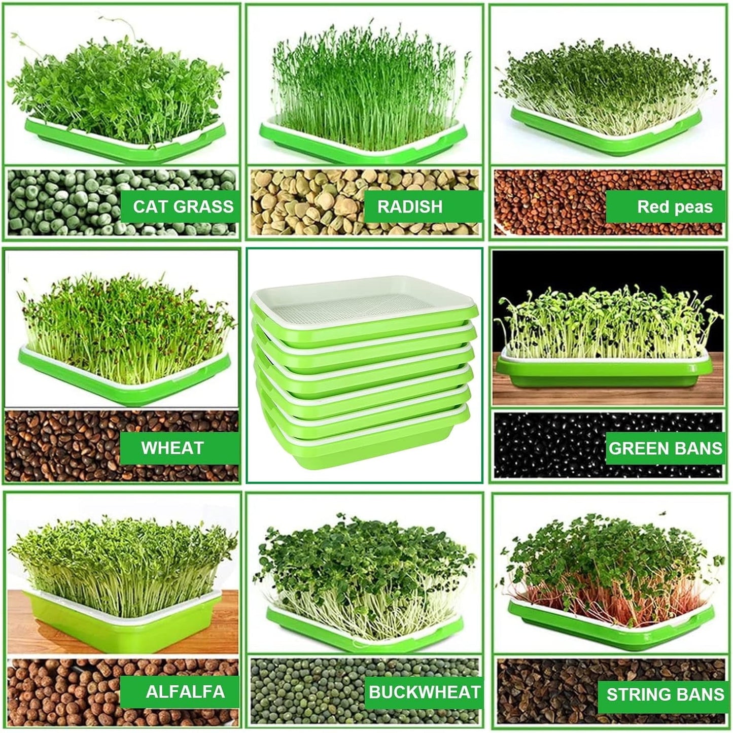 12.8x9.5x1.6 In Green Seed Sprouting Tray with Drain Holes,Microgreens Growing Trays,Growing Trays,seed Germination Propagation Trays for Garden,Home,Office