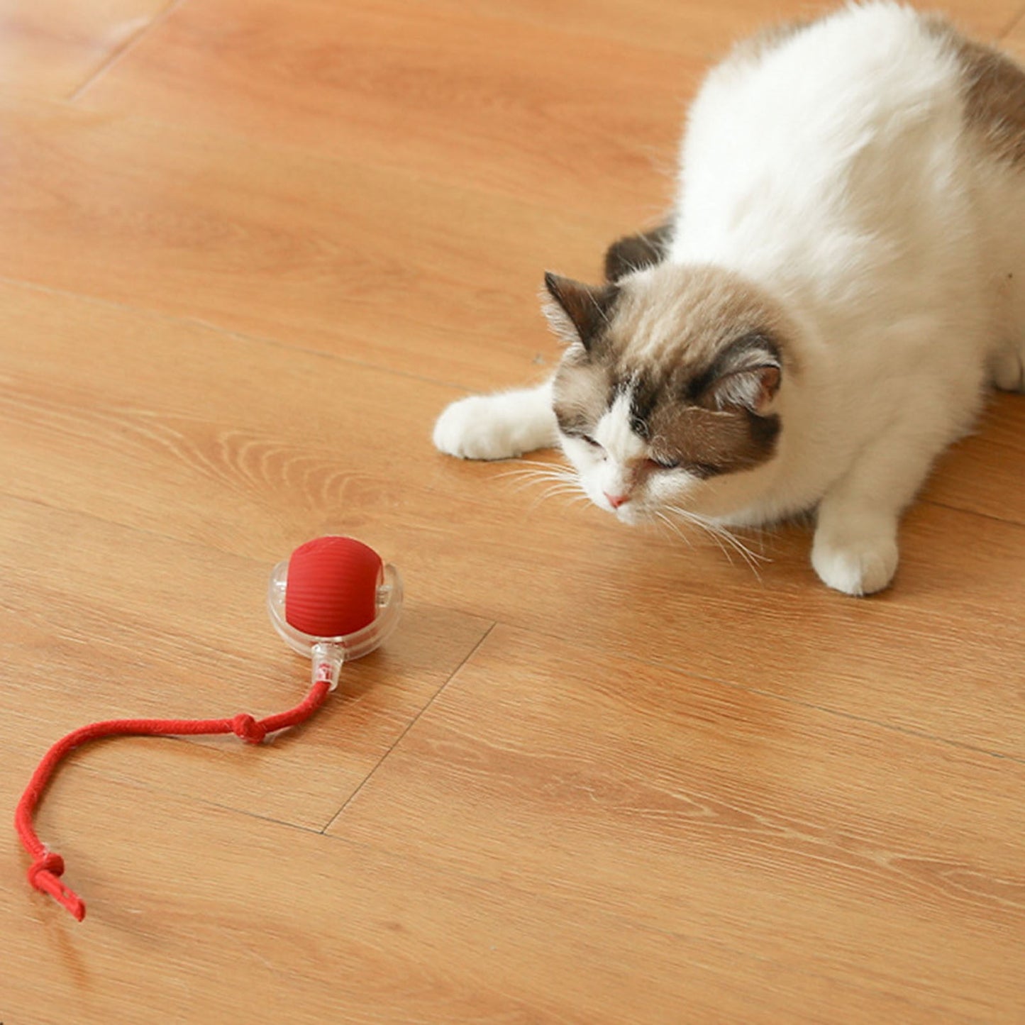 3 Pack Interactive Cat Ball Toy - Electric Cat Toy with USB Rechargeable, Three Working Modes, 360° Rolling Smart Ball for Cats and Dogs
