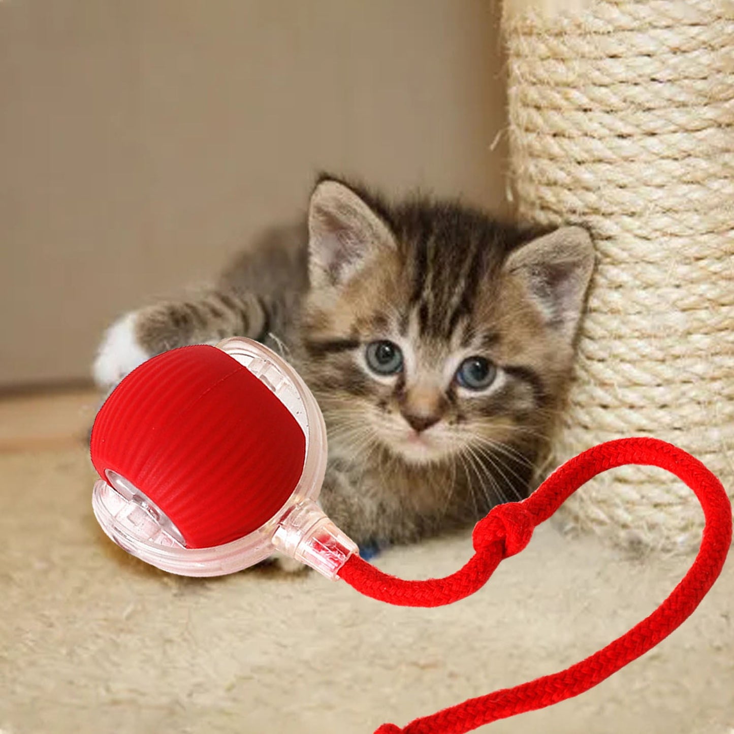 3 Pack Interactive Cat Ball Toy - Electric Cat Toy with USB Rechargeable, Three Working Modes, 360° Rolling Smart Ball for Cats and Dogs