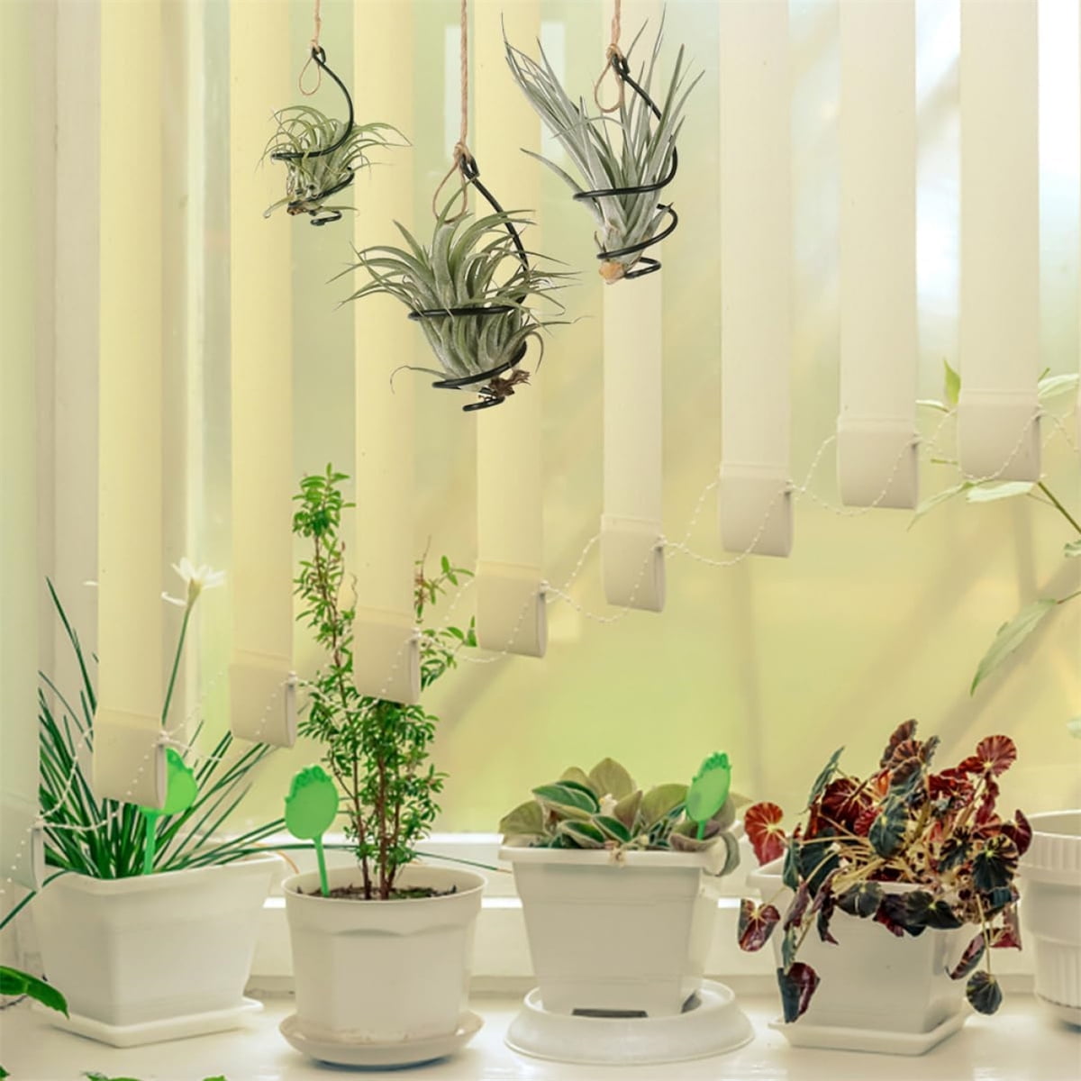 Tutuviw 6 Pcs Air Pineapple Pot Air Plant Hanger Holder,Plant Stands Hanging with Jute Ropes,Modern Plants Hanger Wall Metal Air Plants Stand,Air Plants Hook Air Shelf (Black Aluminum)