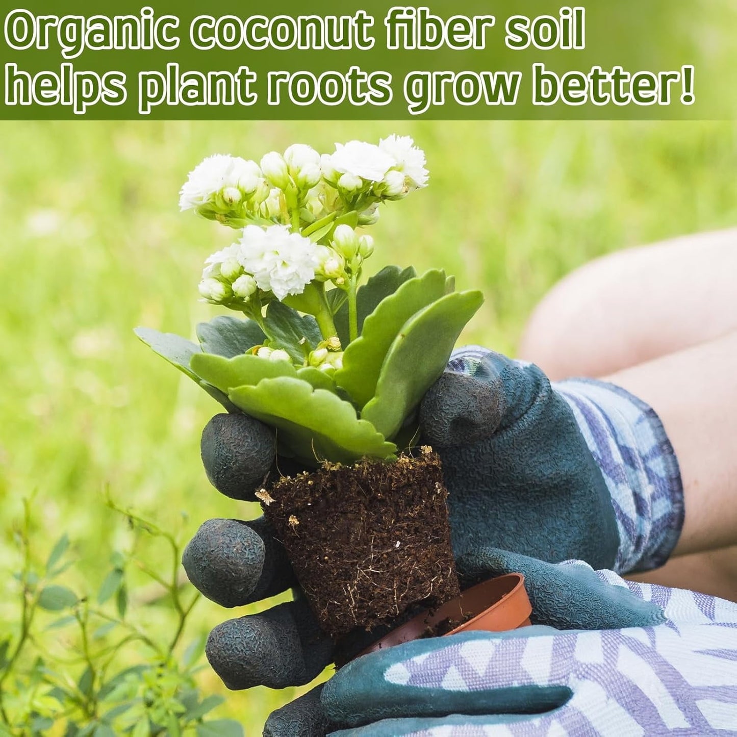20Pack Coir Pellets Seed Starting Soil,1.2x0.4In Portable Coco Peat Soil for Indoor Outdoor,QZS Compressed Coir Fiber Potting Soil for Plants,Herb