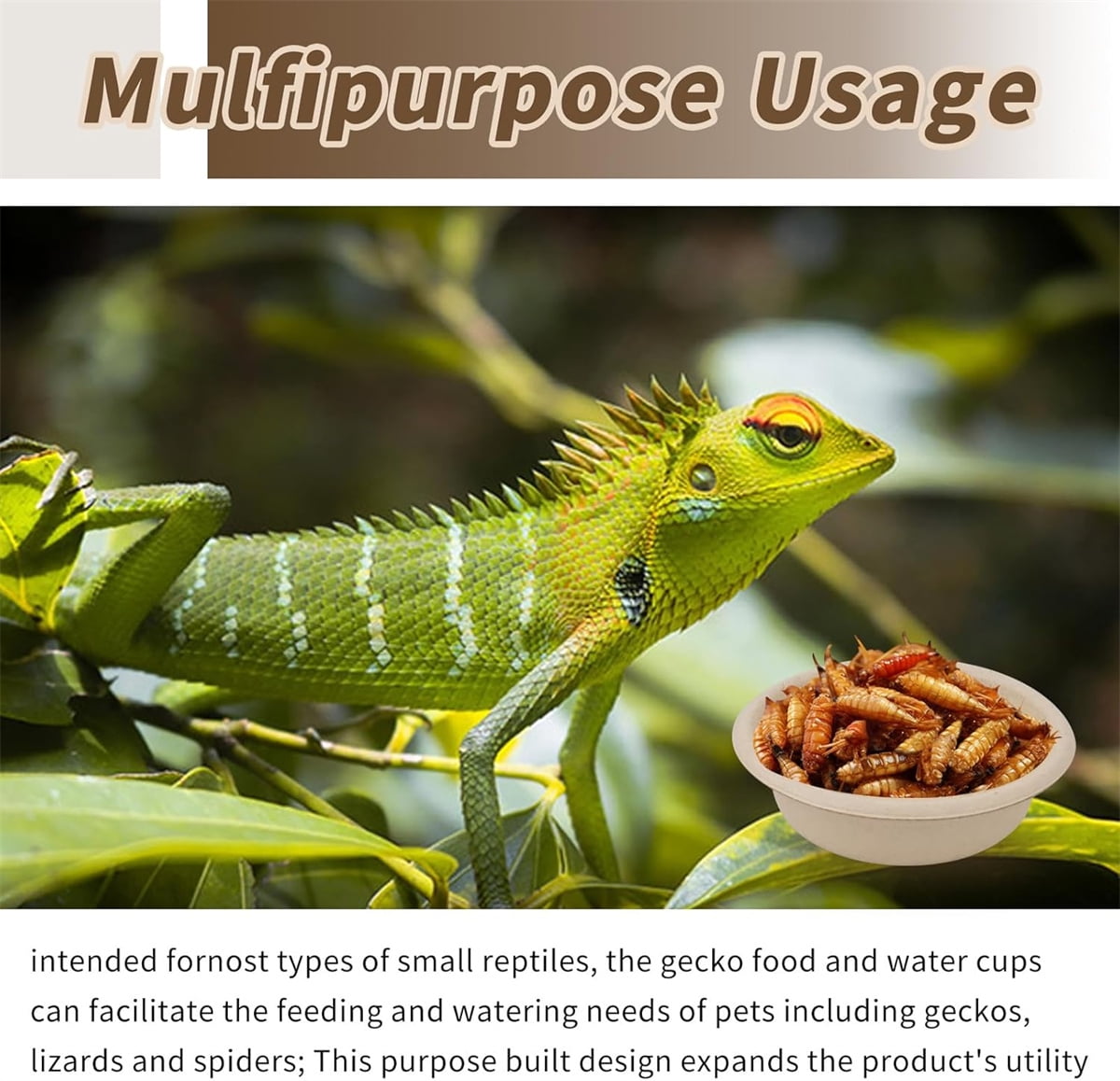 Tutuviw Biodegradable Disposable Paper Pet Bowls Bulk,100Pcs 1OZ Paper Feeding Cups,Sturdy and Leakproof Feeder Dish,Non-Toxic Food and Water Dishes for Lizards/Spiders/Reptiles/Small Dogs/Cats