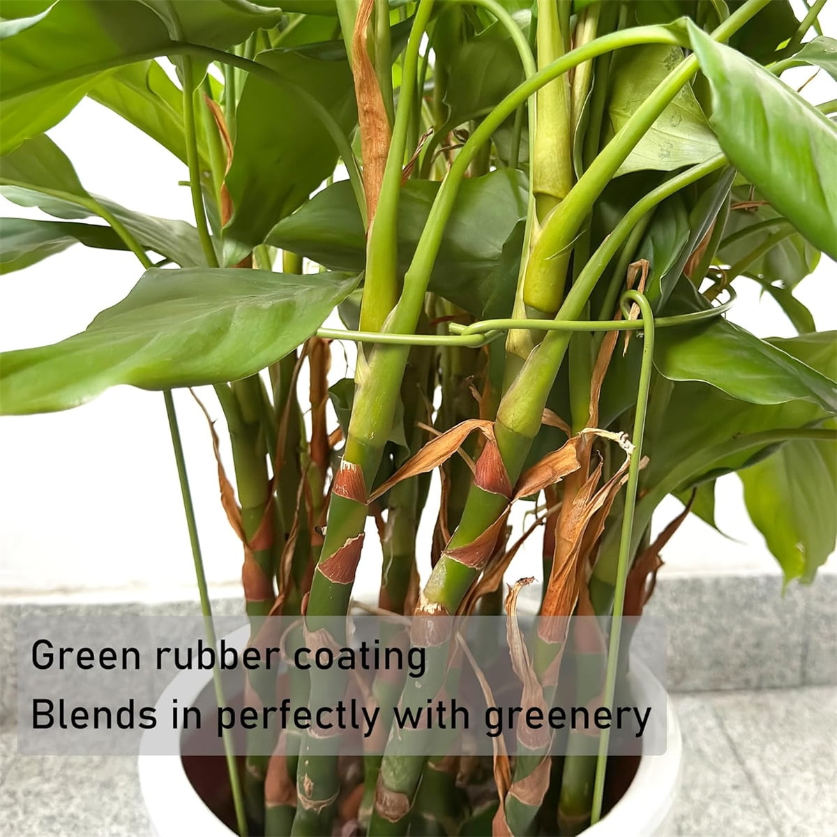 Tutuviw 3 Pcs Garden Plant Support Rings for Potted Plant,9x11in Round Metal Plant Stakes Rings,Garden Plant Support Brace,Peony Cages Support Stakes Ring,Plant Support Stakes for Indoor Outdoor 7"