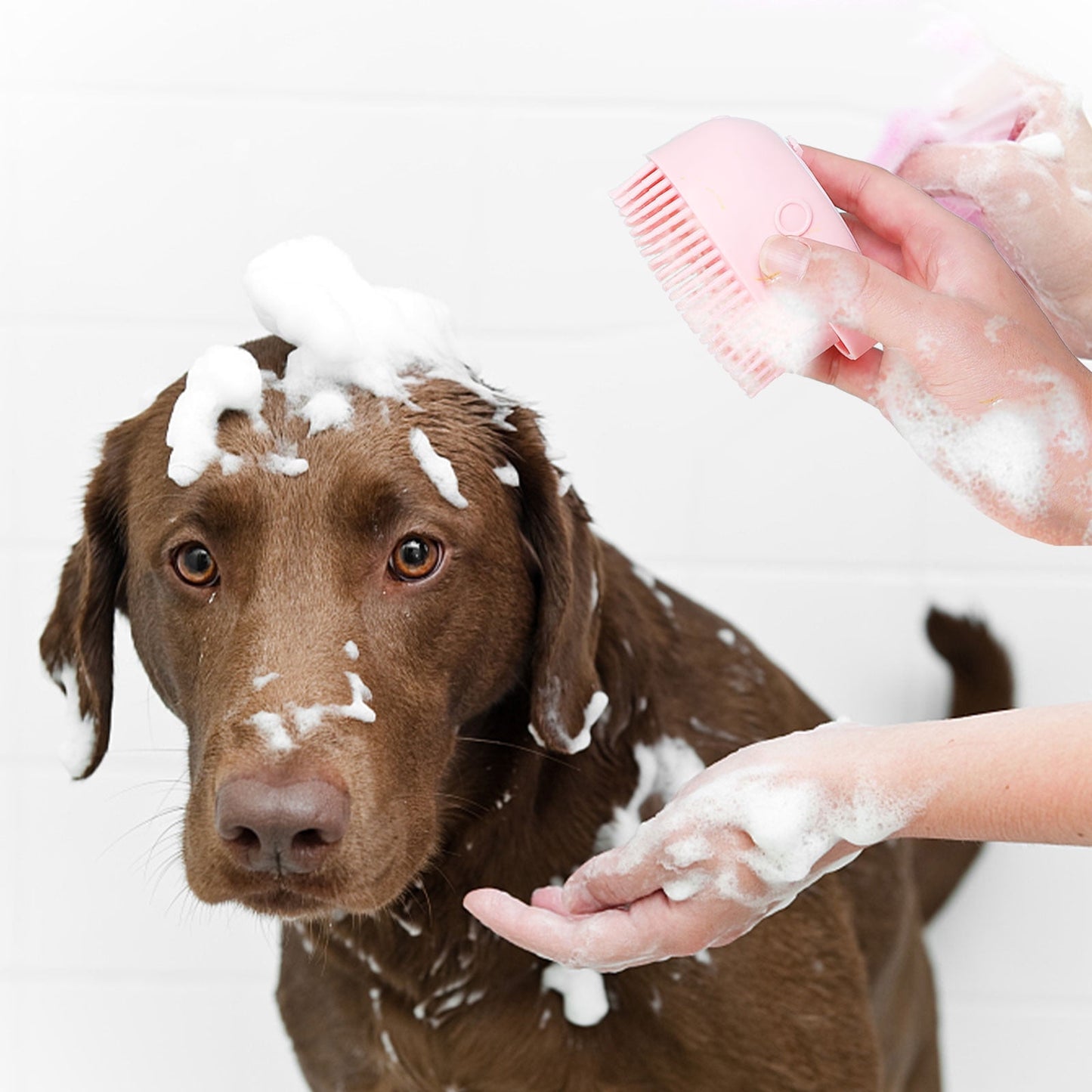 Dog Bath Brush, Pet Massage Brush, Shampoo Dispenser, Soft Silicone Brush, Rubber Bristle for Dogs and Cats Shower, Soft Pet Rub Back Brush, Shower Brush Blue