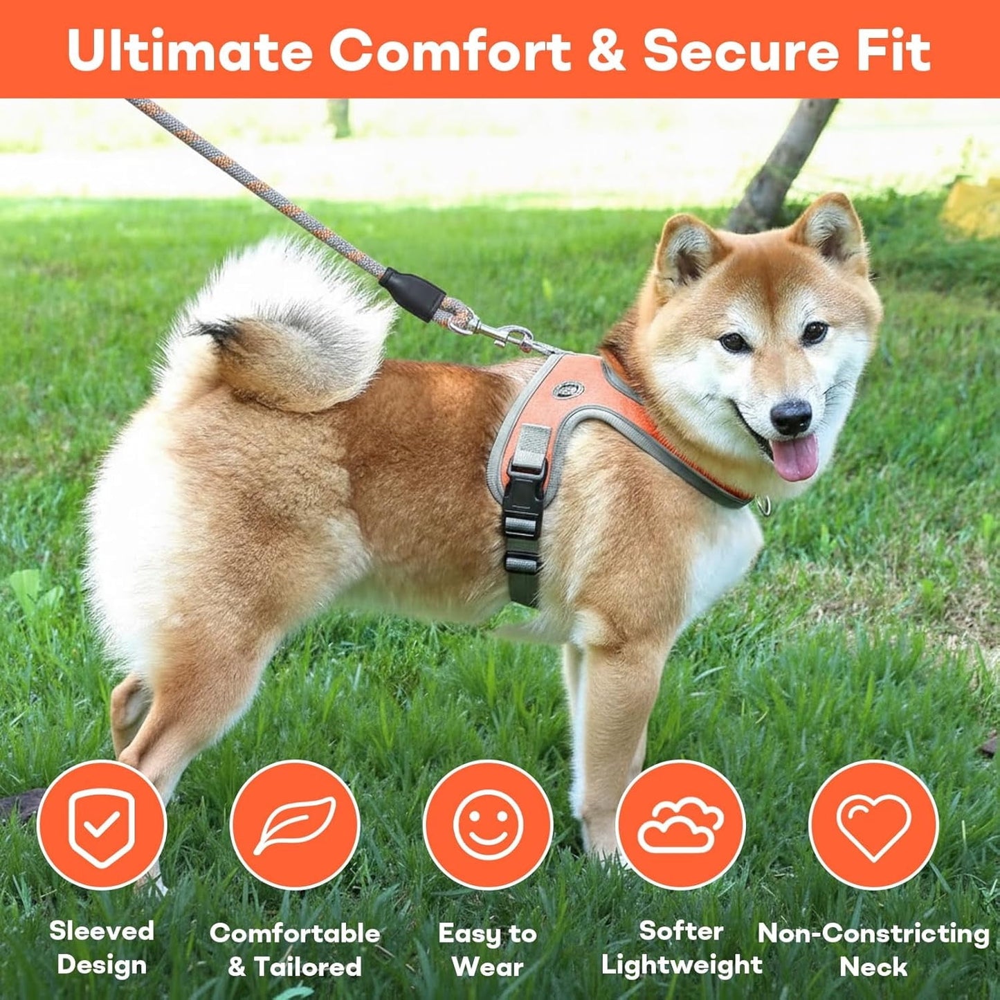 Dog Harness and Leash, No Pull Saddle Style Pet Harness, Breathable Mesh Adjustable Reflective Dog Vest, Dog Leash, for Dogs and Cat Medium Small Harness Blue,S