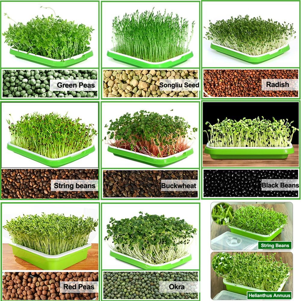 Tutuviw BPA Free Hydroponics Soilless Seeds Sprouter Microgreen Seed Sprouter Trays Seed Germination Double Tier Grow Trays with Lid 5PCS-Seed Sprouter Tray