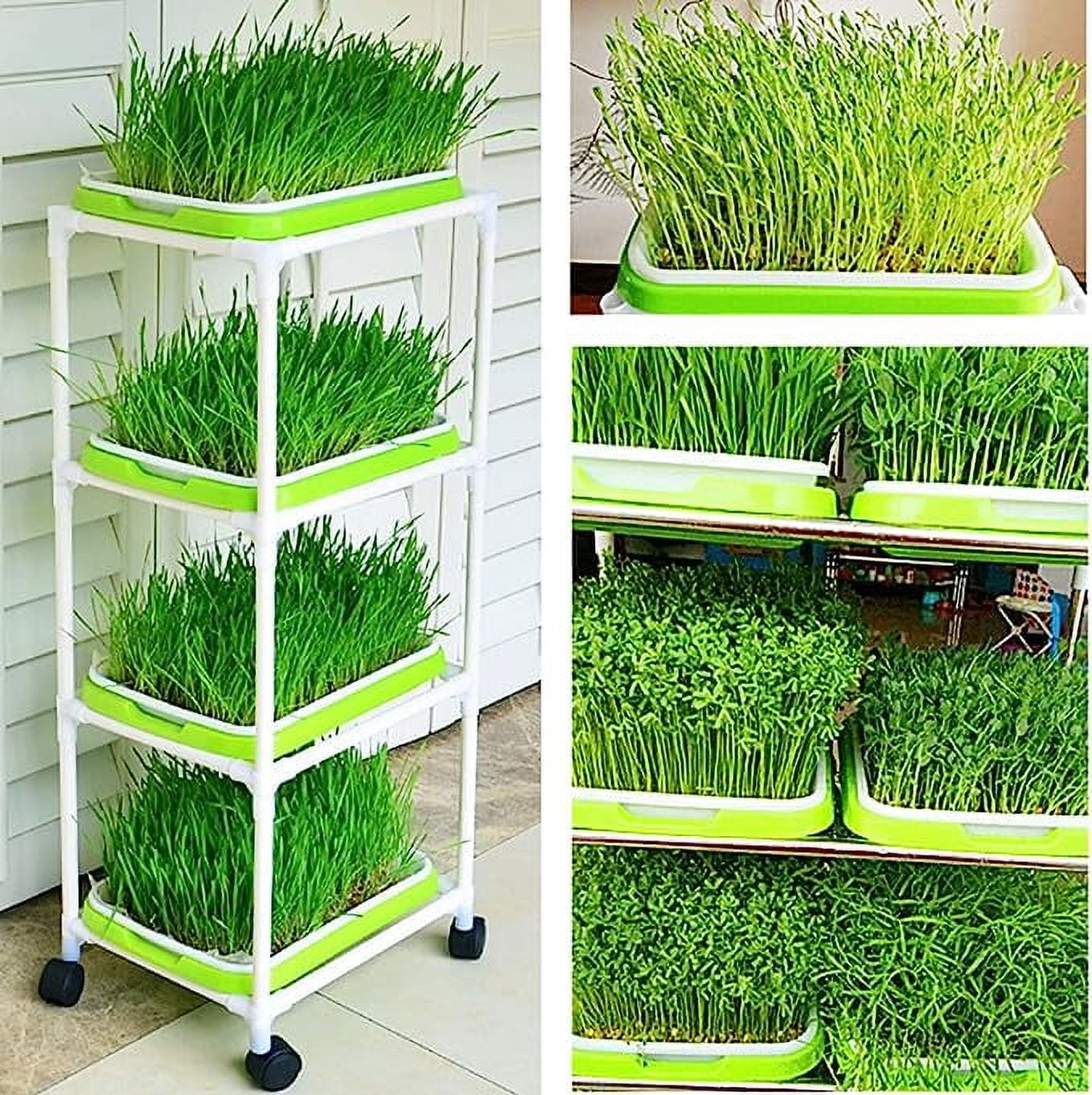 Tutuviw BPA Free Hydroponics Soilless Seeds Sprouter Microgreen Seed Sprouter Trays Seed Germination Double Tier Grow Trays with Lid 5PCS-Seed Sprouter Tray