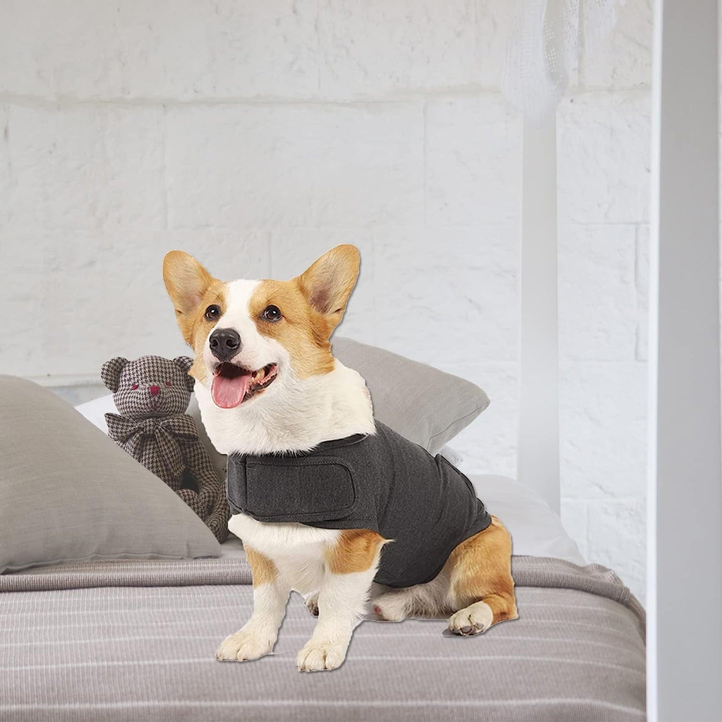 Dog Jacket, Skin-Friendly Dog Calming Vest - Dog Shirt for Thunder, Fireworks and Separation - Keep Pet Calm Without Medicine & Training, Anti Anxiety Vest for Dogs S Dark Grey