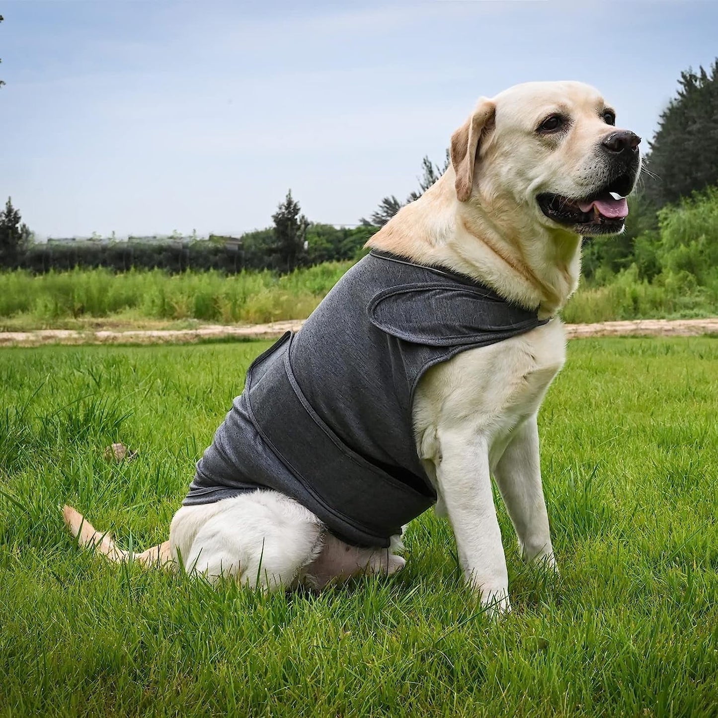 Dog Jacket, Skin-Friendly Dog Calming Vest - Dog Shirt for Thunder, Fireworks and Separation - Keep Pet Calm Without Medicine & Training, Anti Anxiety Vest for Dogs L Gray