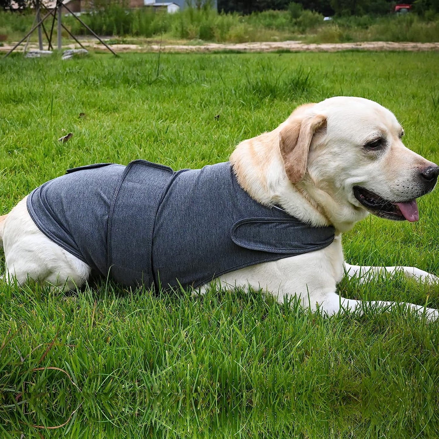 Dog Jacket, Skin-Friendly Dog Calming Vest - Dog Shirt for Thunder, Fireworks and Separation - Keep Pet Calm Without Medicine & Training, Anti Anxiety Vest for Dogs S Rose Red