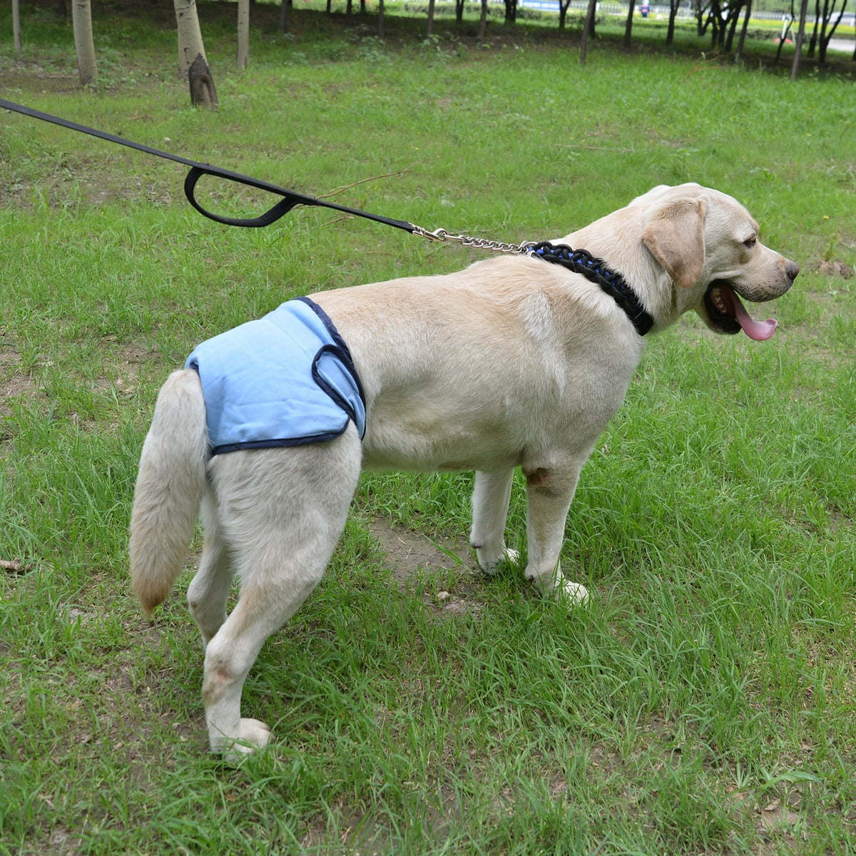 Comfortable Dog Underwear Dog Diapers Pants Male Female to Put On/Off Breathable Physiological Pants Reusable Sanitary Panties for Small to Large Dogs Pet (1pcs, Pink, XL) L Blue