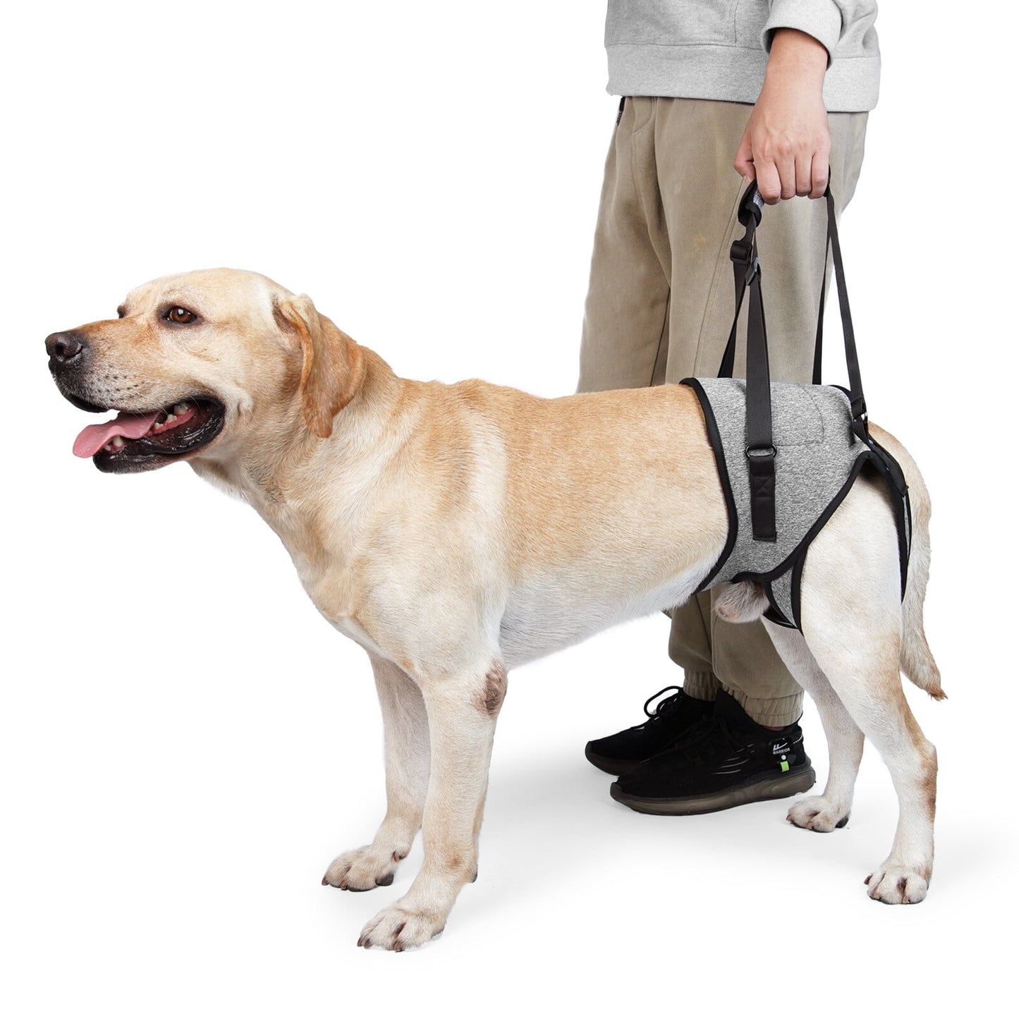 Dog Sling for Large Dogs Hind Leg Adjustable Dog Lift Harnesses For Walking/Climbing Pet Auxiliary Slings for Elderly, Disabled Dogs S