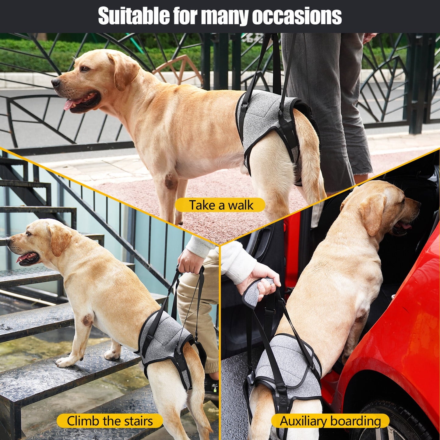 Dog Sling for Large Dogs Hind Leg Adjustable Dog Lift Harnesses For Walking/Climbing Pet Auxiliary Slings for Elderly, Disabled Dogs S