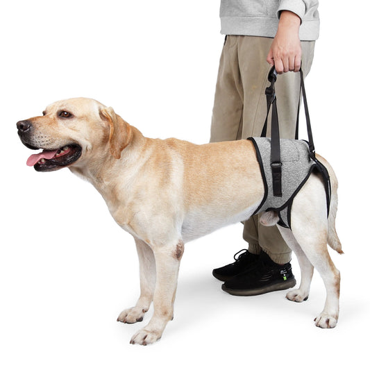 Dog Sling for Large Dogs Hind Leg Adjustable Dog Lift Harnesses For Walking/Climbing Pet Auxiliary Slings for Elderly, Disabled Dogs M