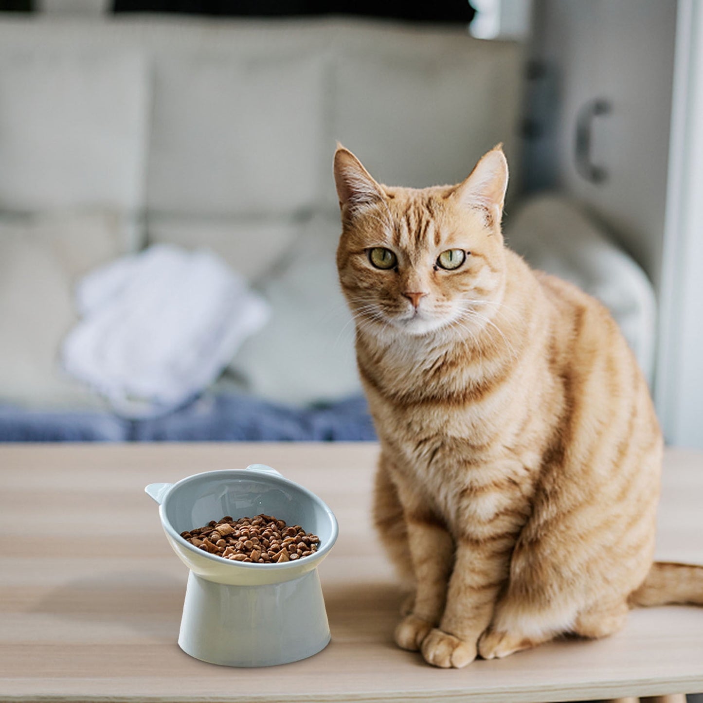 Darzheoy Raised Cat Food Bowl 15 Degrees Elevated Cat Bowls Anti Vomiting Tilted Raised Cat Food Bowl Plastic Slanted Stand Bowls for Pet Feeder Light Blue