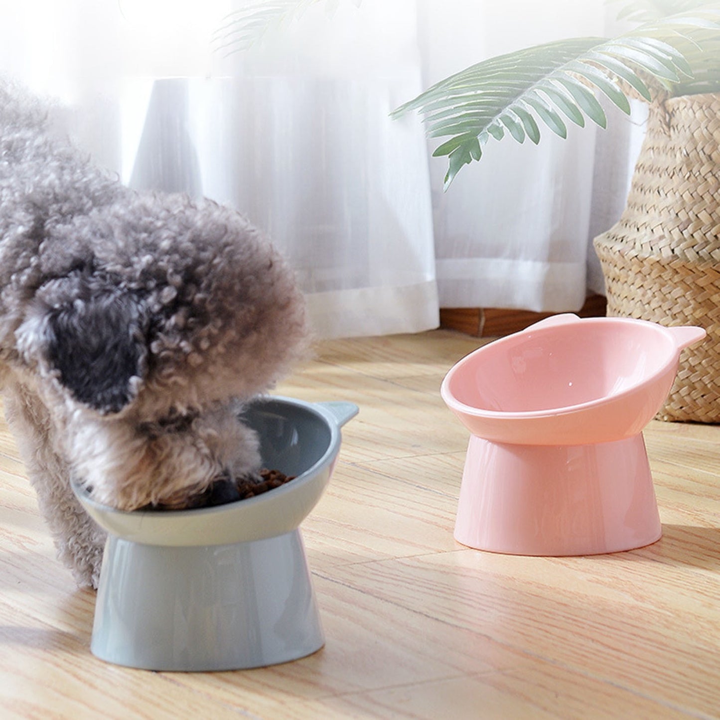 Darzheoy Raised Cat Food Bowl 15 Degrees Elevated Cat Bowls Anti Vomiting Tilted Raised Cat Food Bowl Plastic Slanted Stand Bowls for Pet Feeder Light Blue